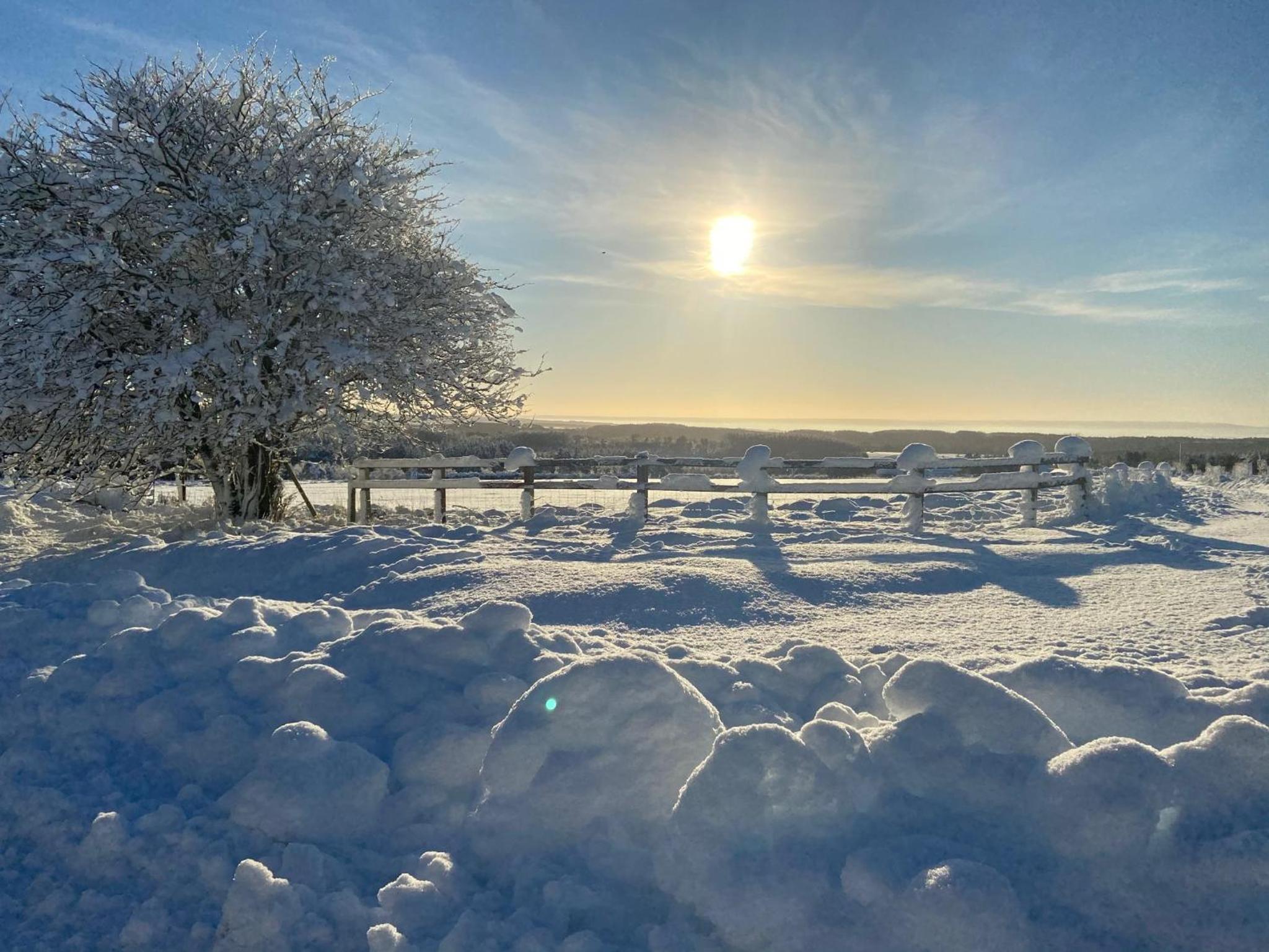 Photo 76