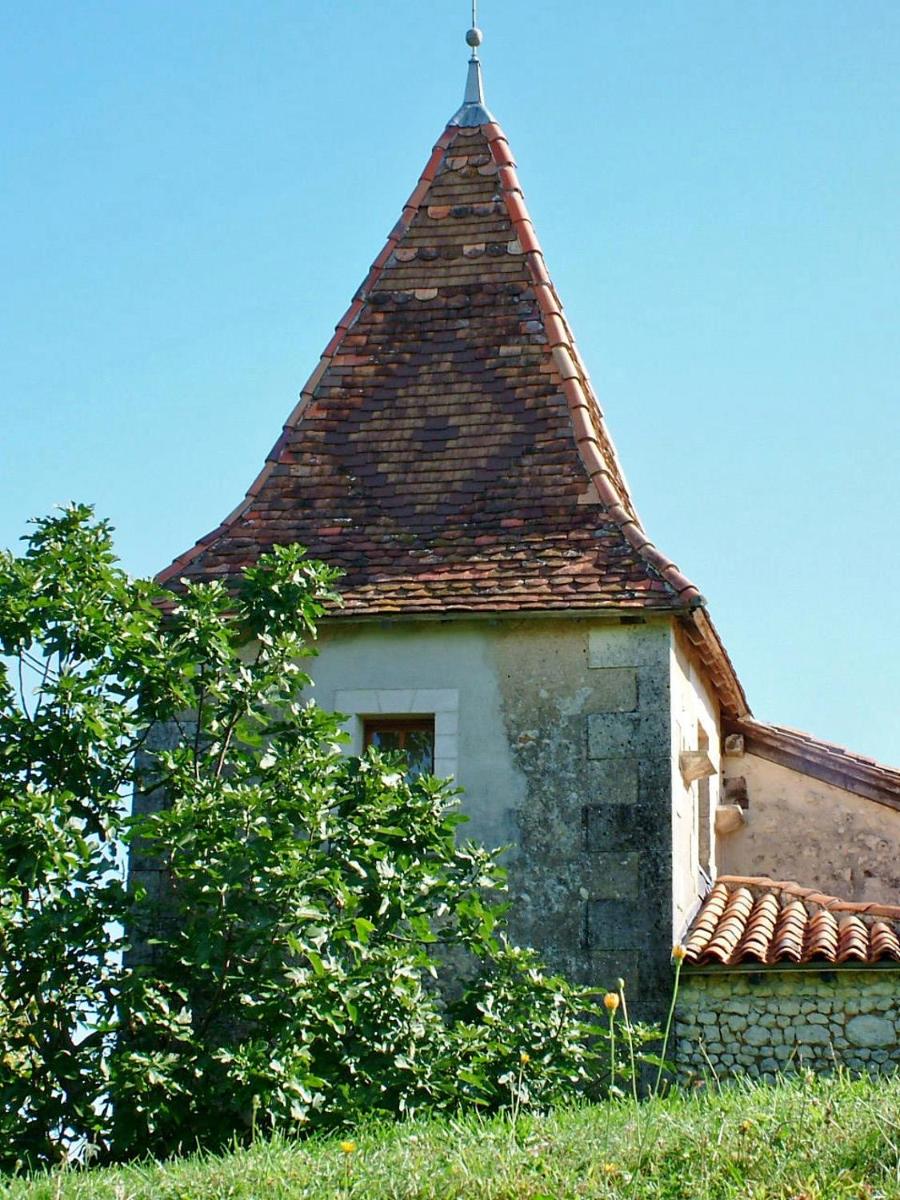Photo 24