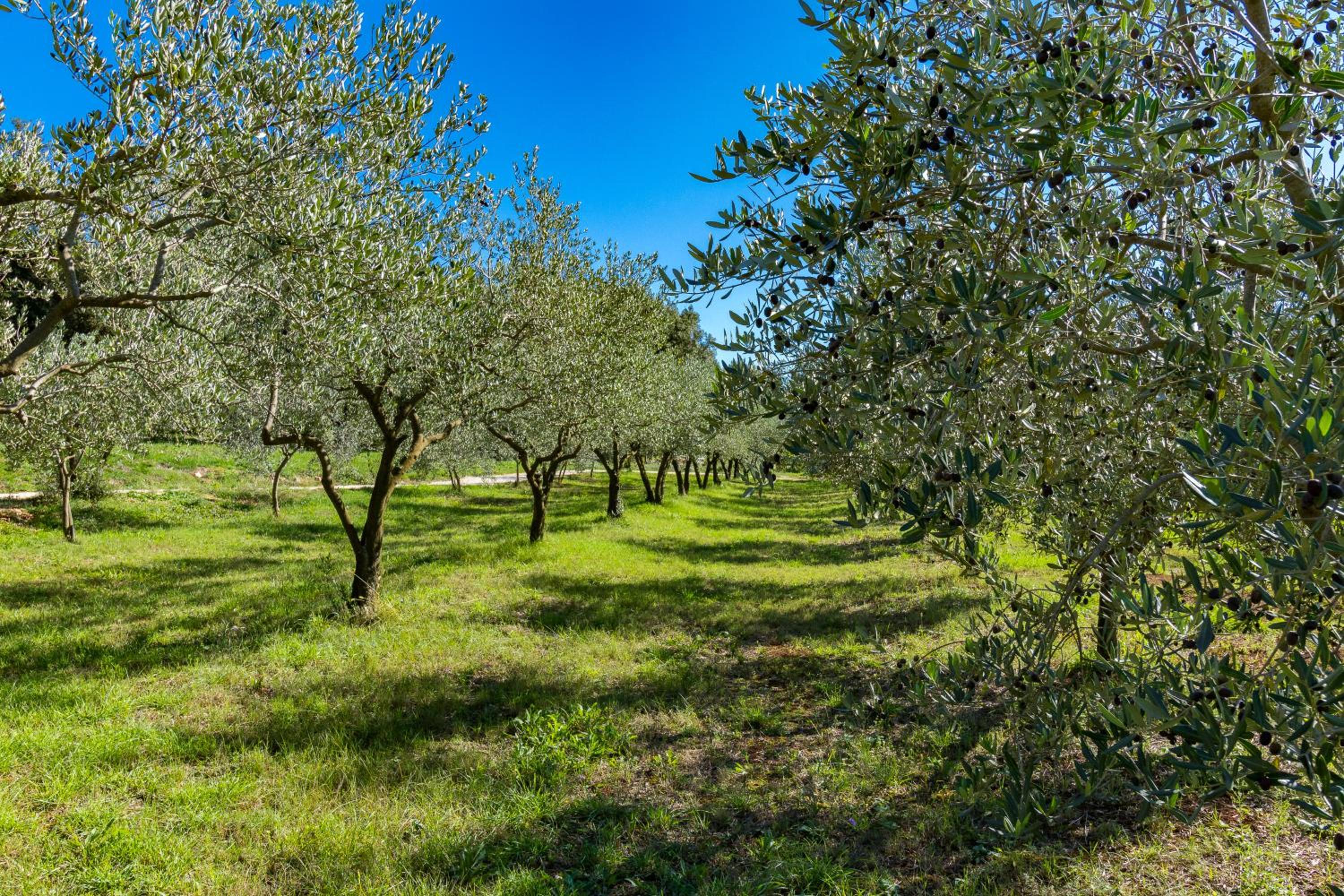 Villa Tramonto view 5