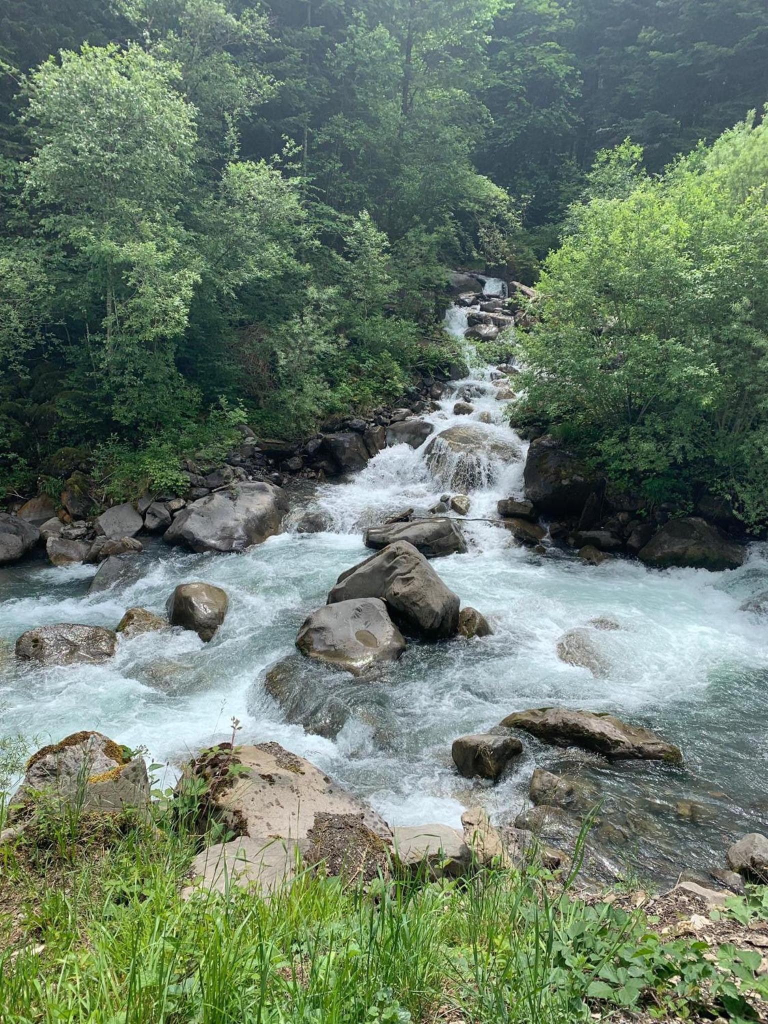 The River Pearl