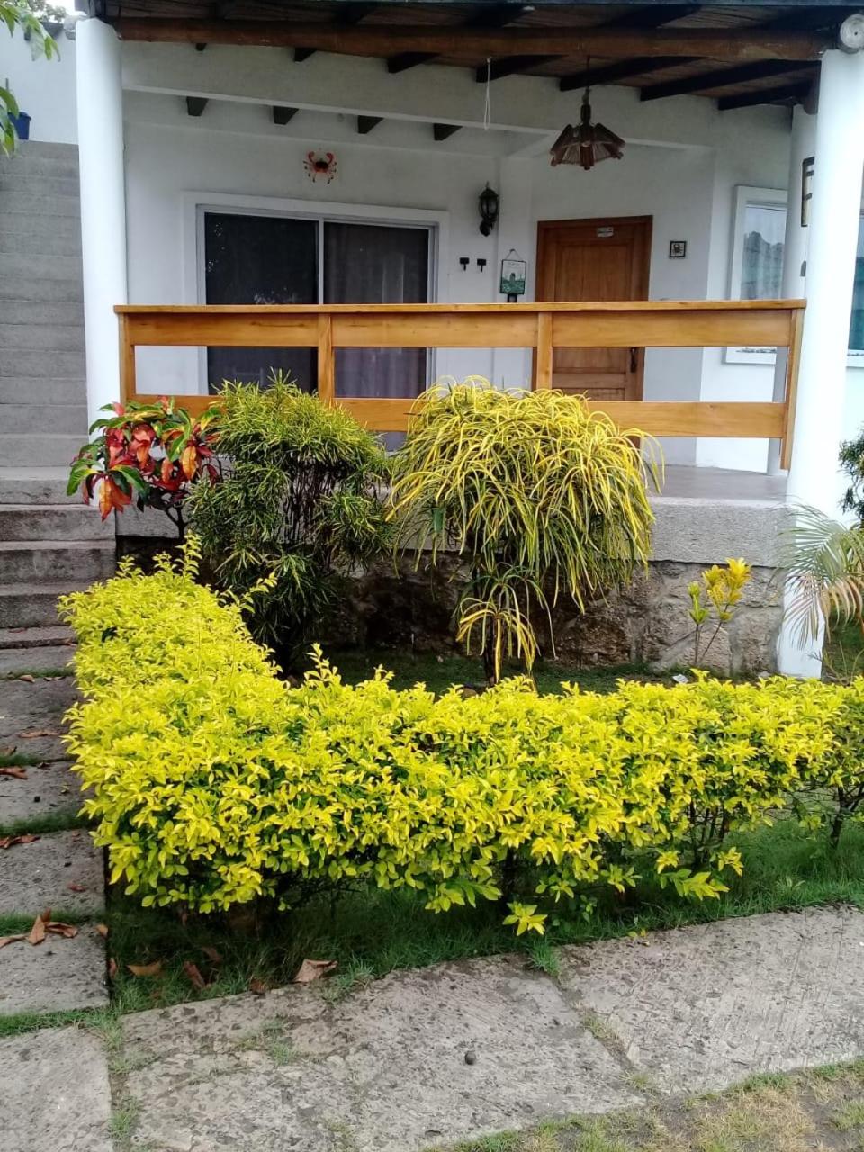 Photo 52