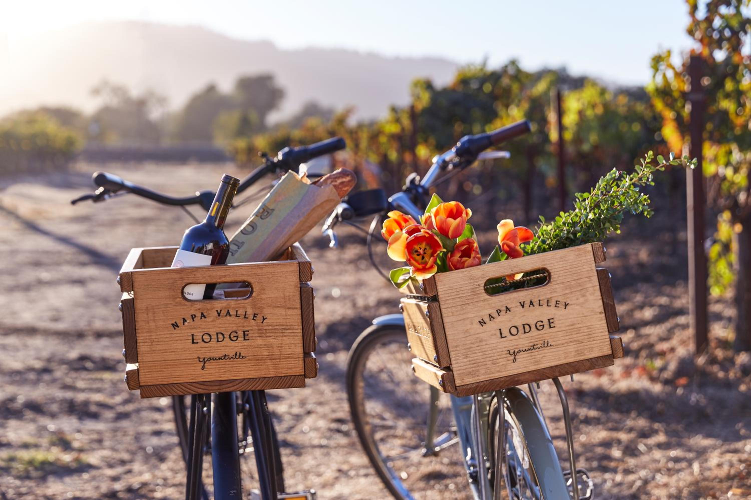 Yountville Vacations - Napa Valley Lodge - Property Image 20