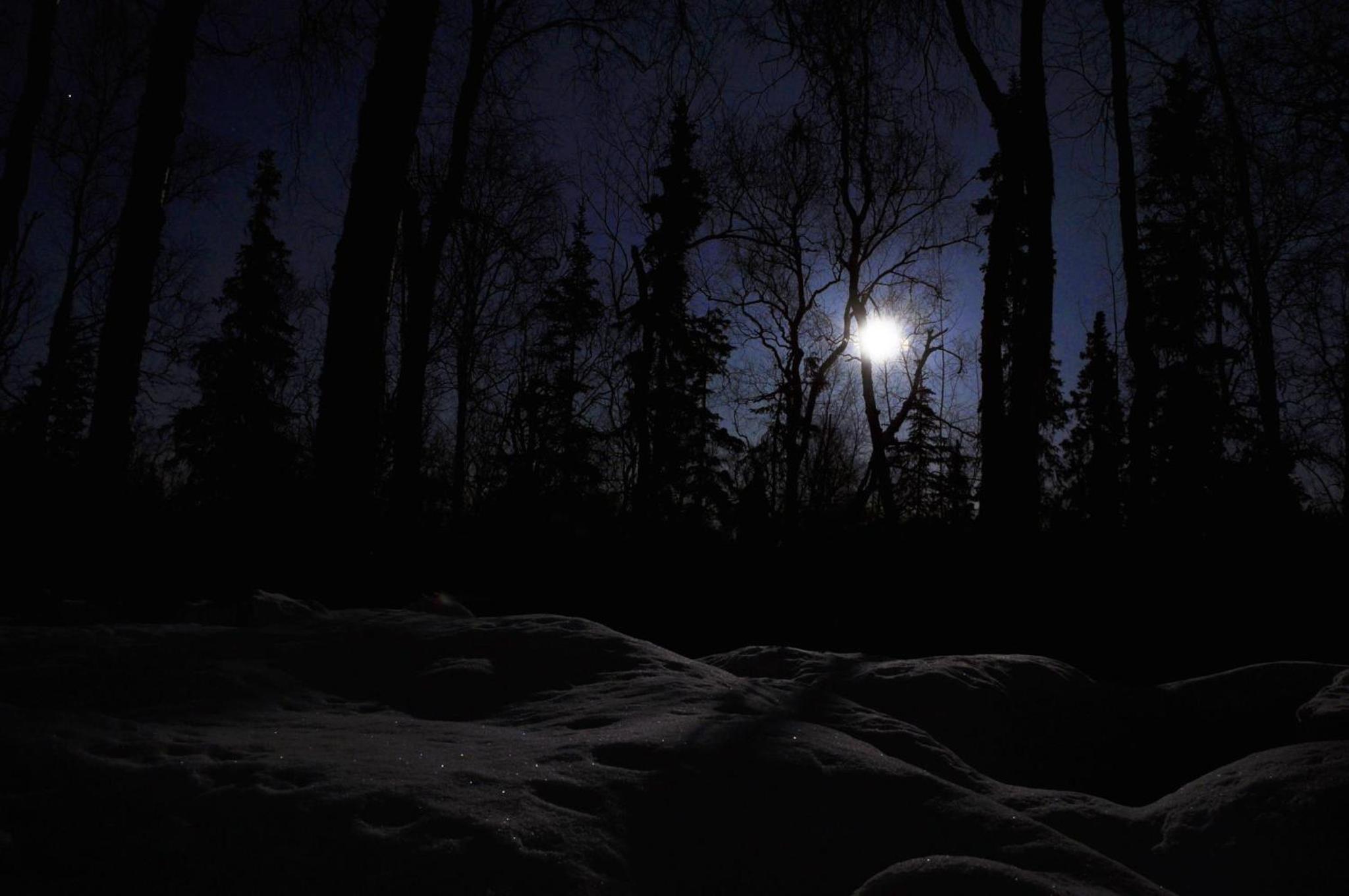 Talkeetna Chalet