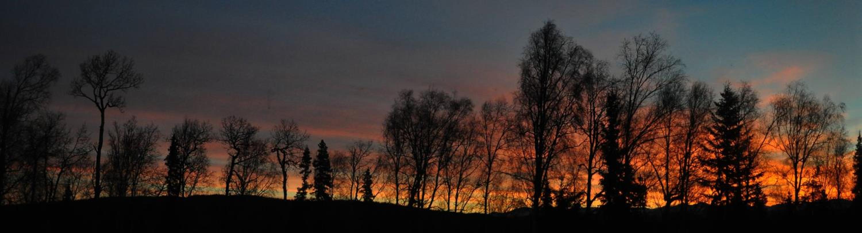 Talkeetna Chalet