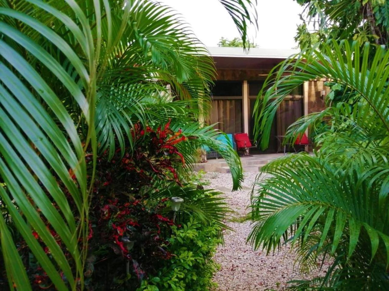 Suite Paraiso Azul