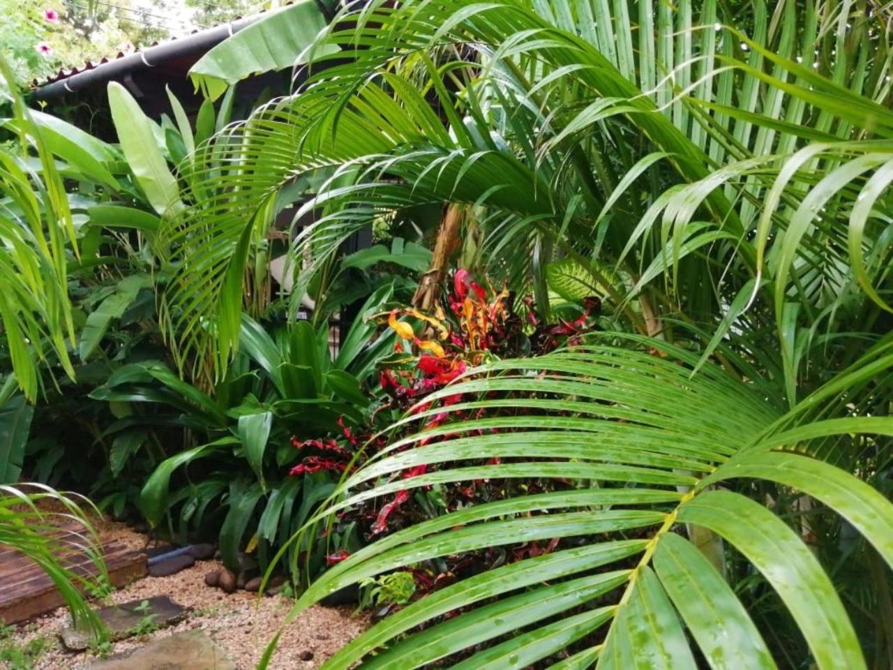 Suite Paraiso Azul