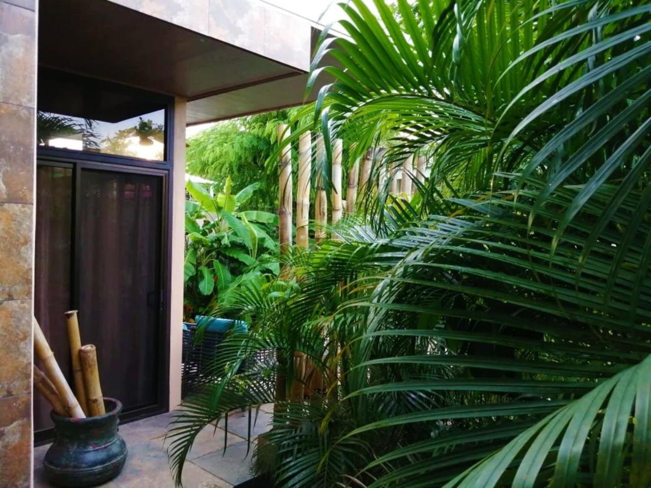 Suite Paraiso Azul