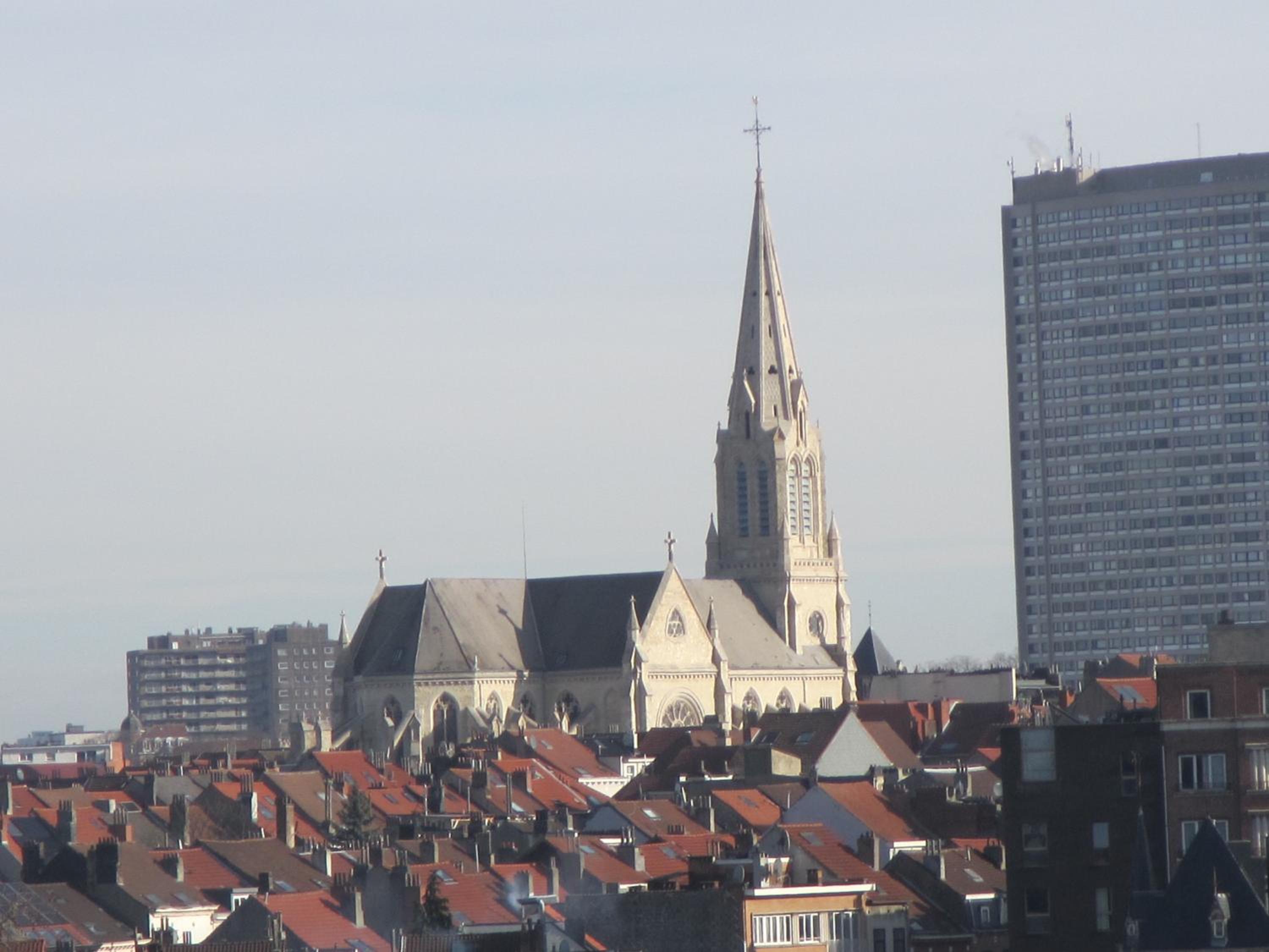 Photo 12