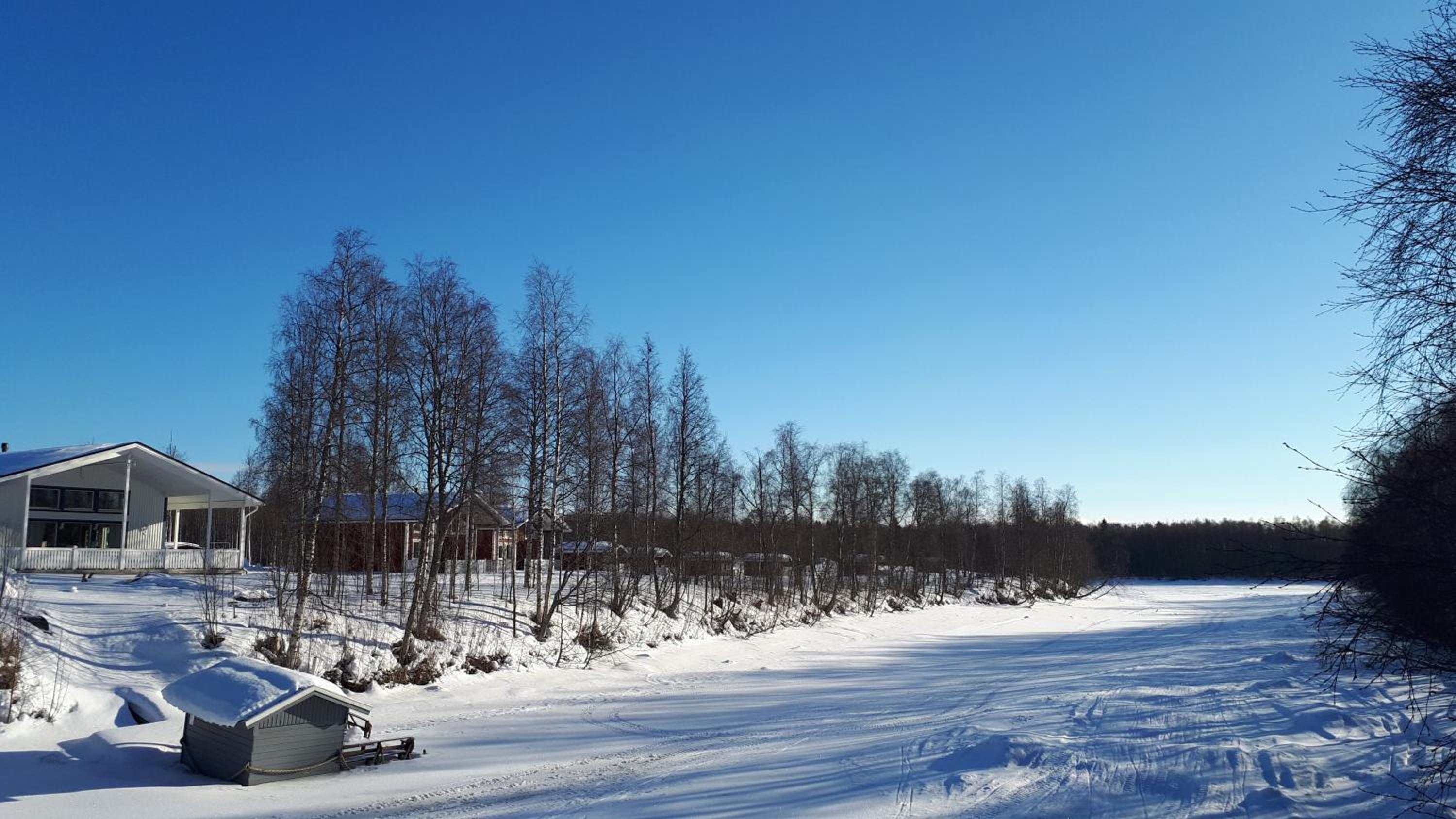 Photo 41