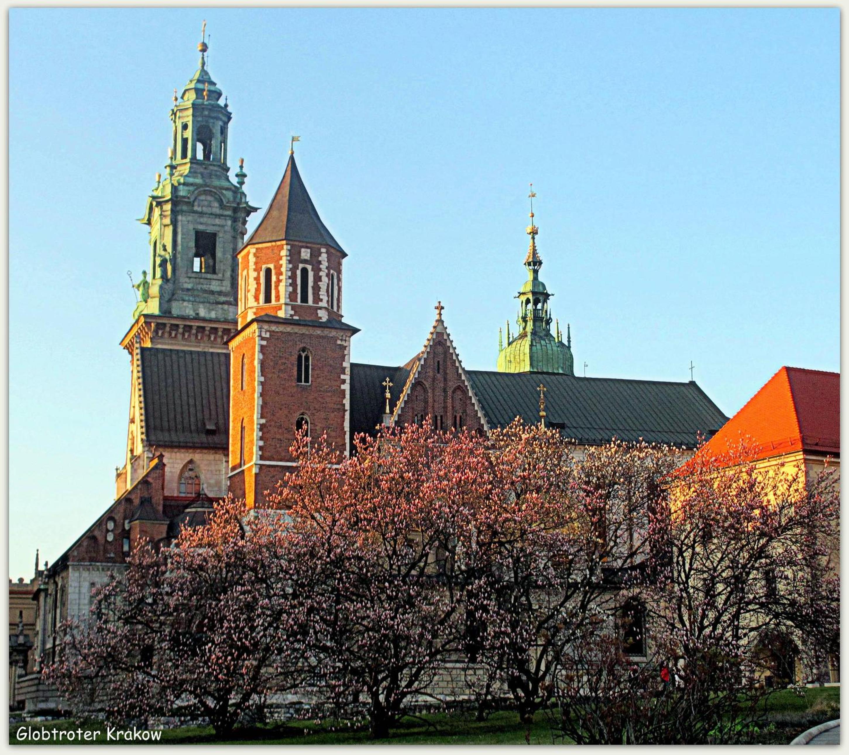 Photo 57