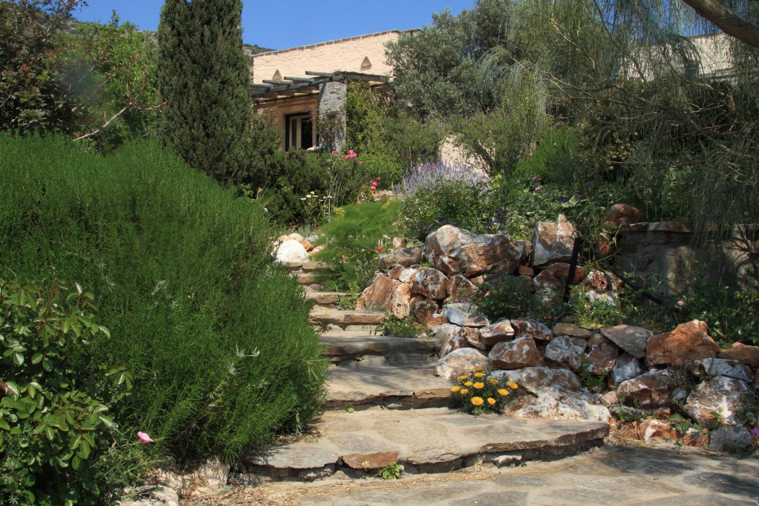Photo 43