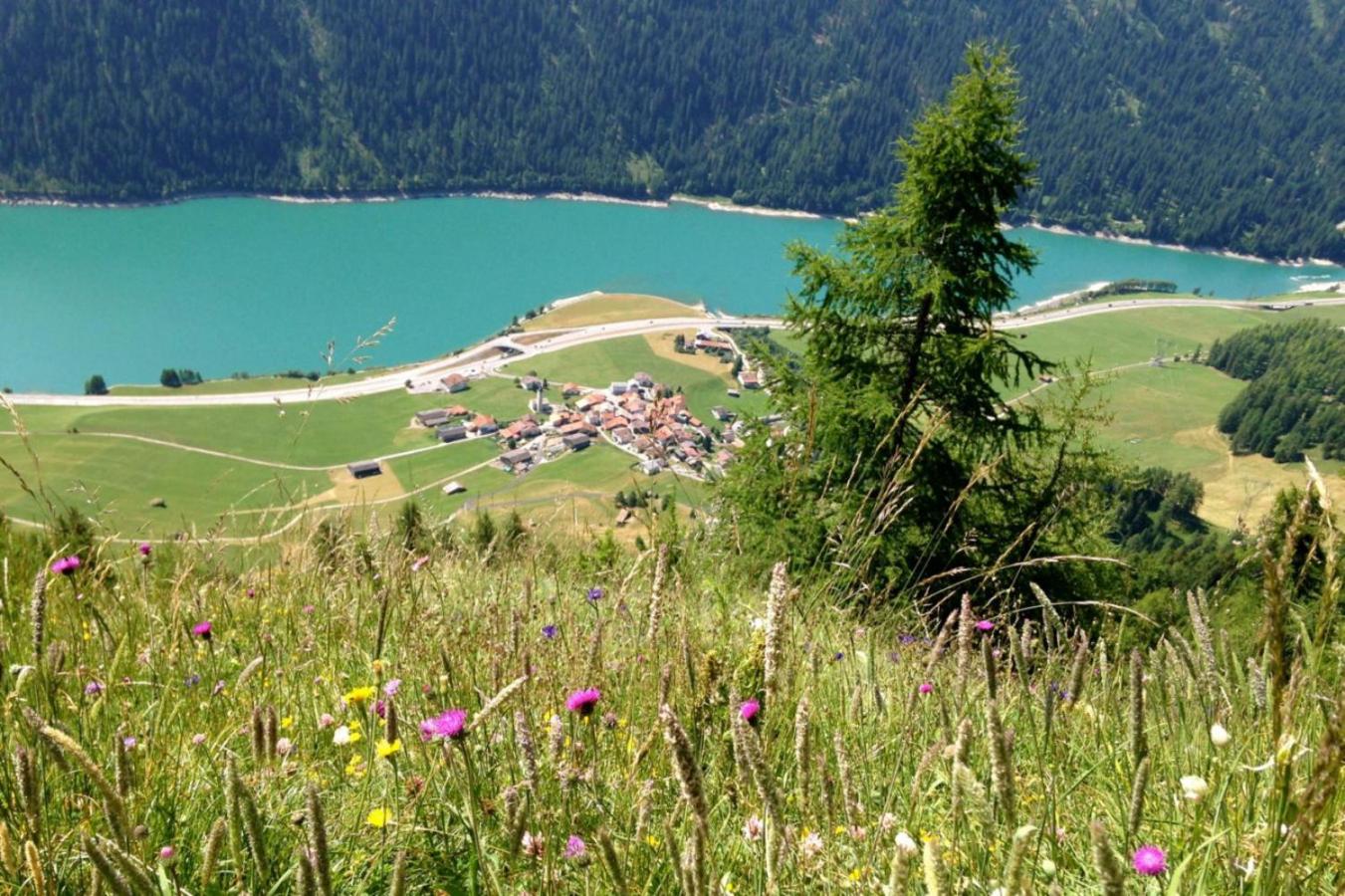 Bio Yak Hof Heinz view 2