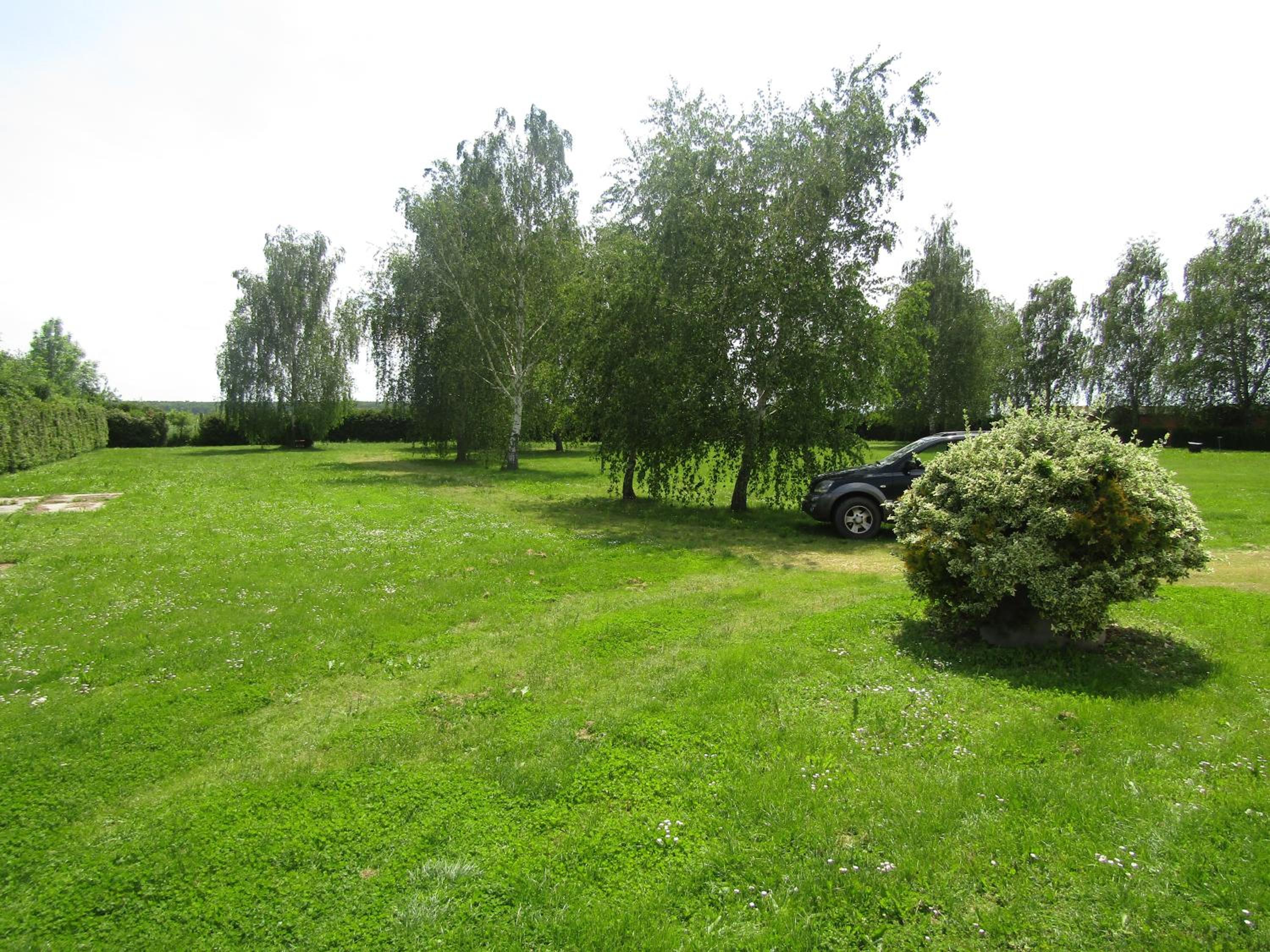 Photo 31