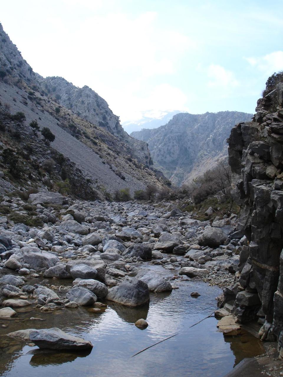 Vasilikata