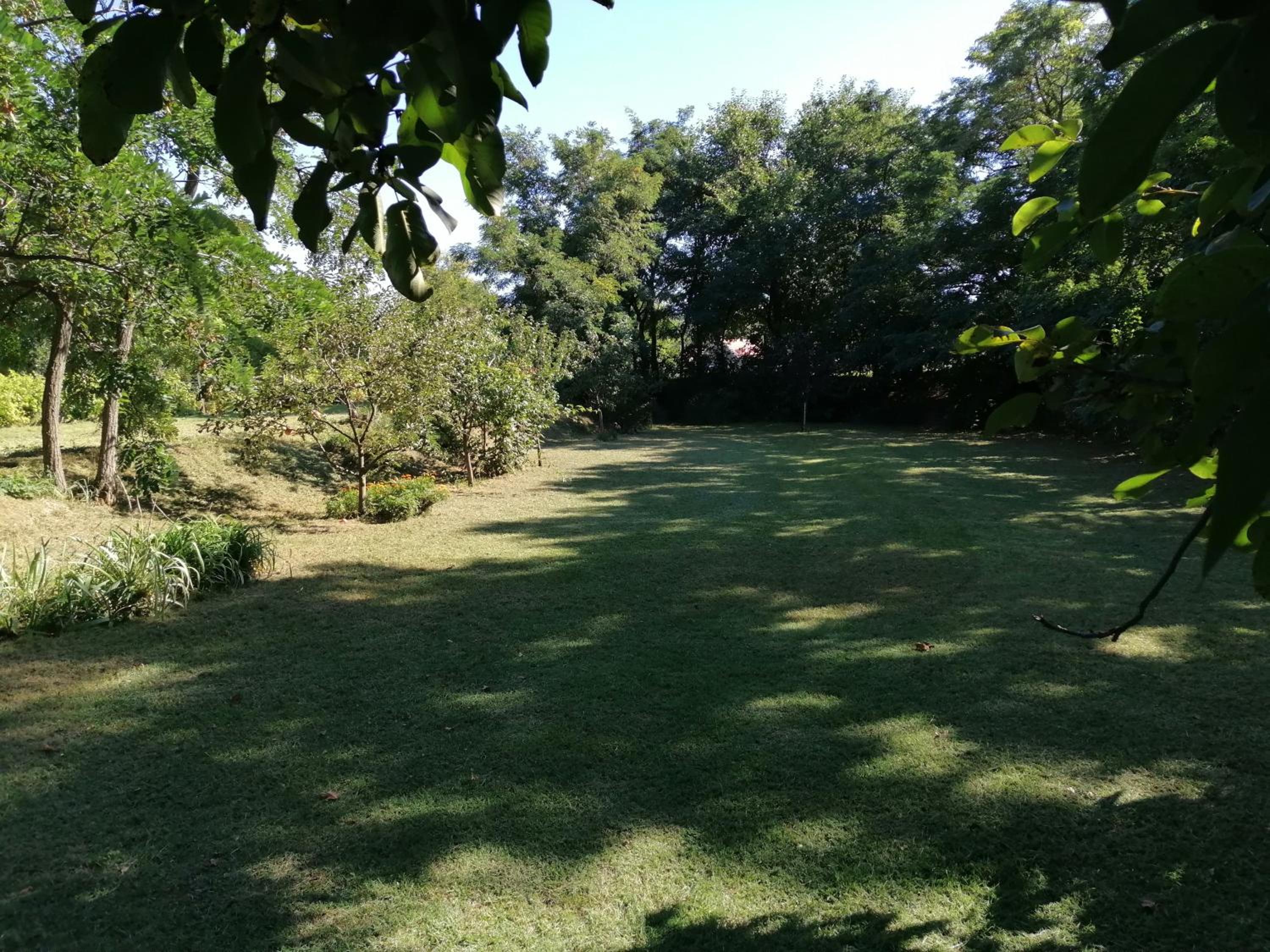 Photo 36