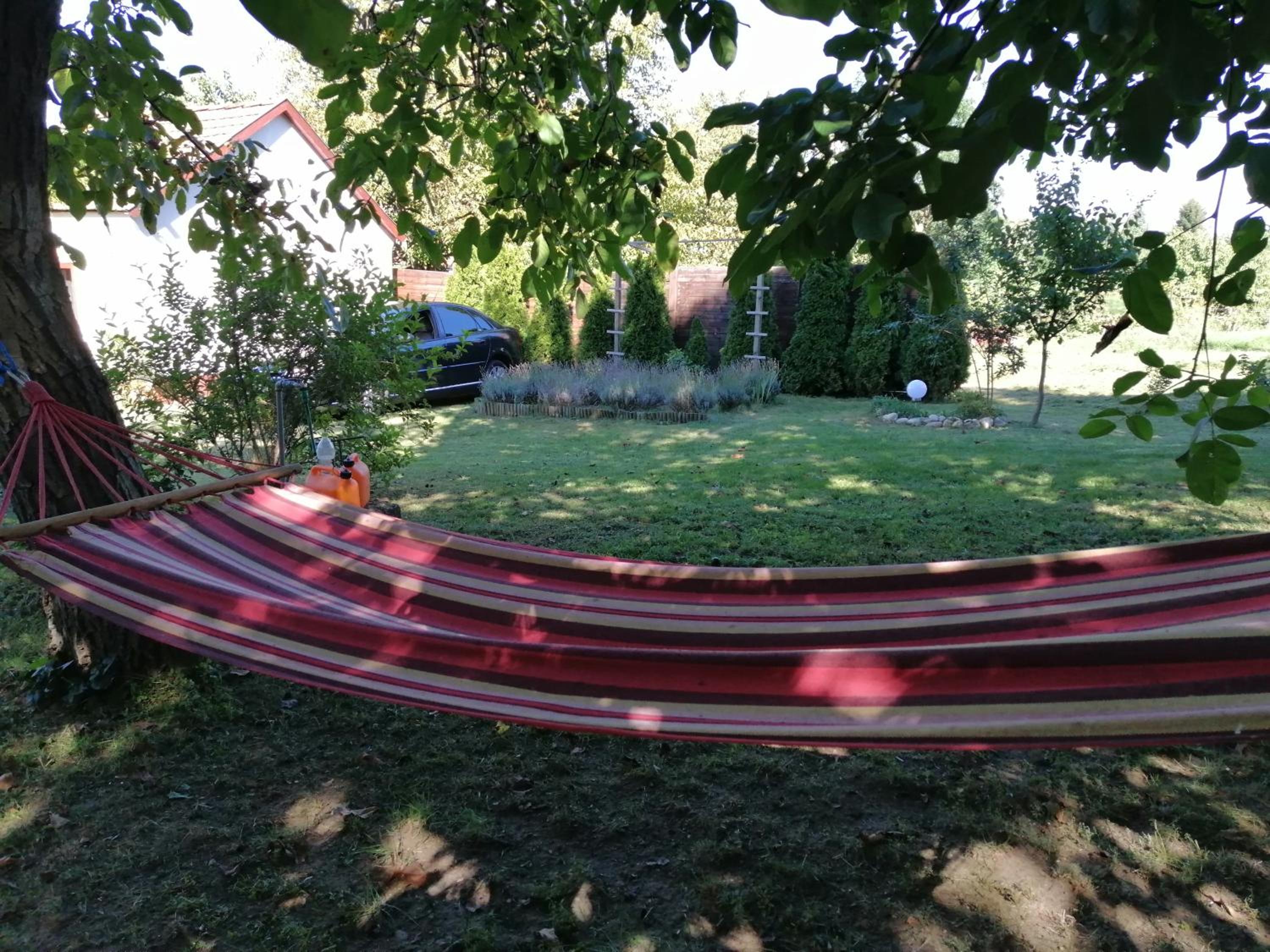 Photo 33