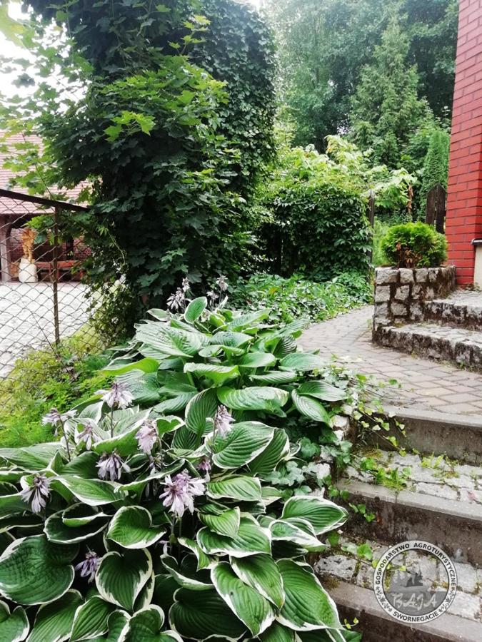 Photo 37