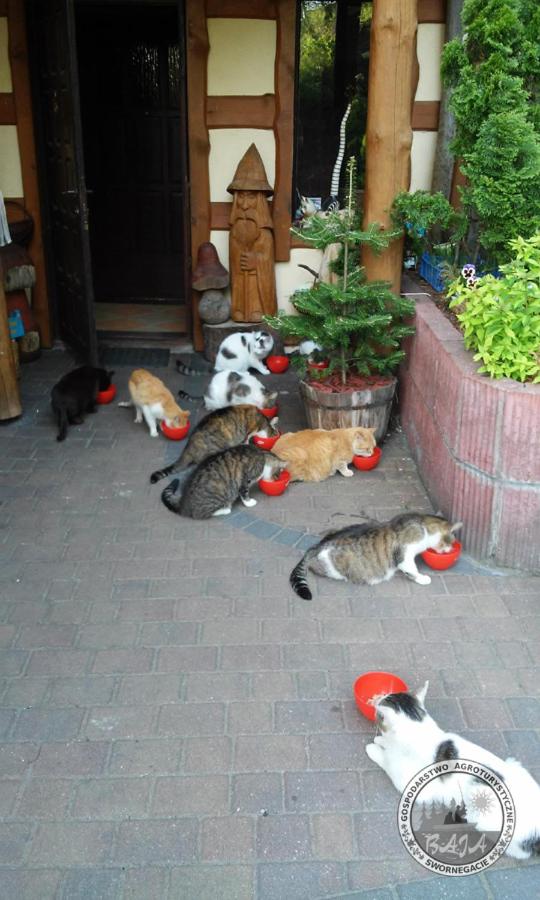 Photo 24
