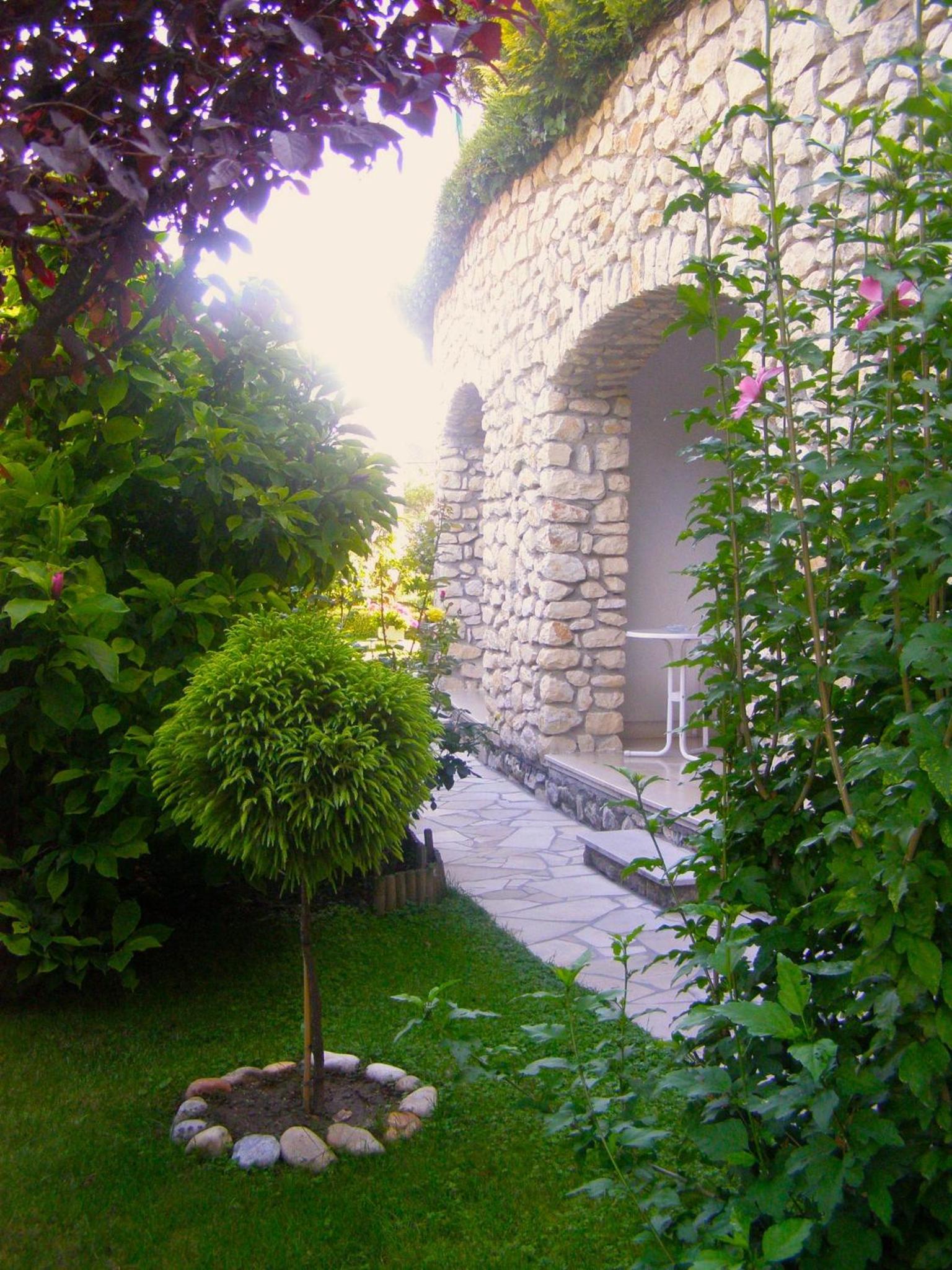 Photo 62