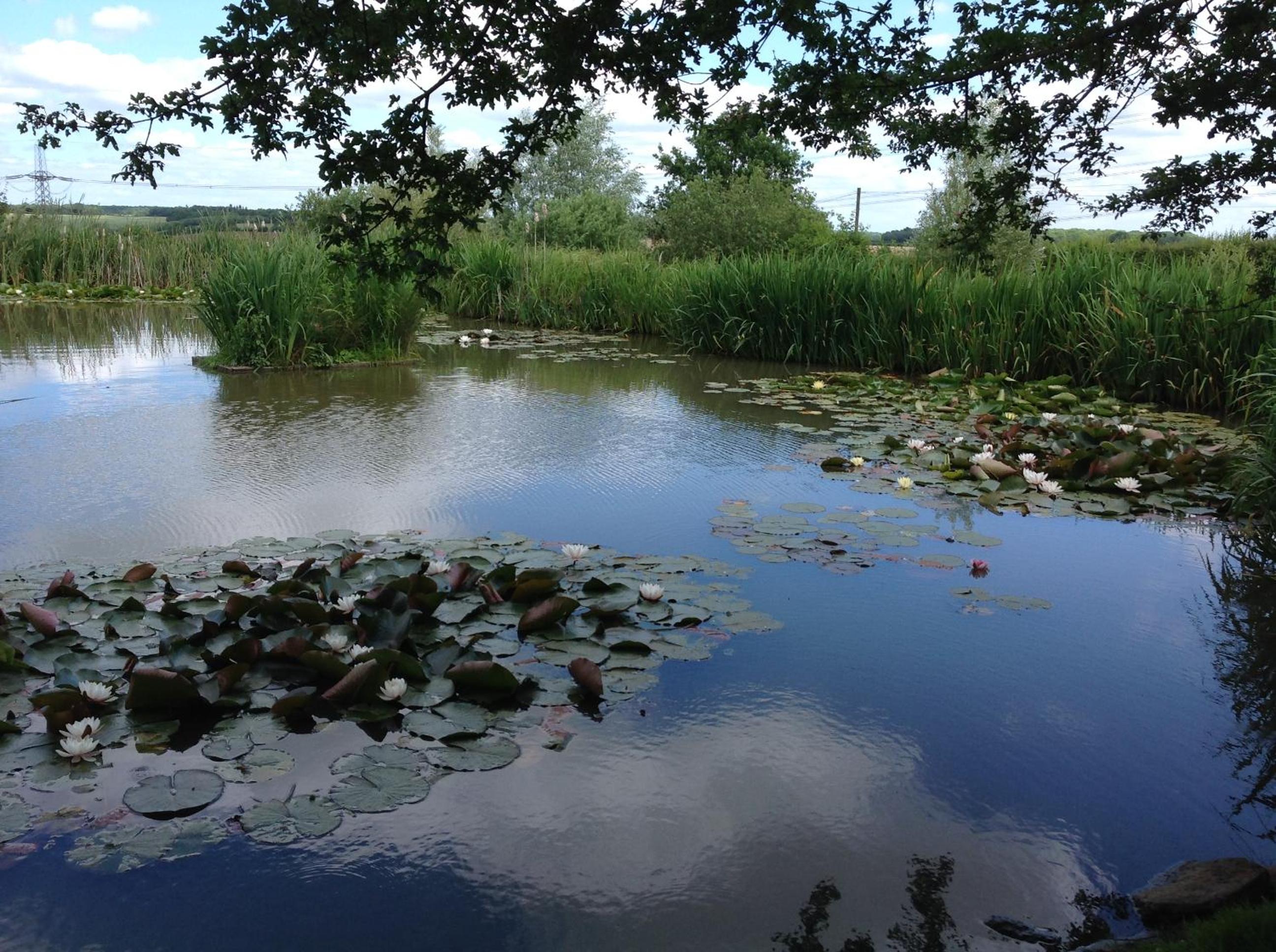 Photo 20