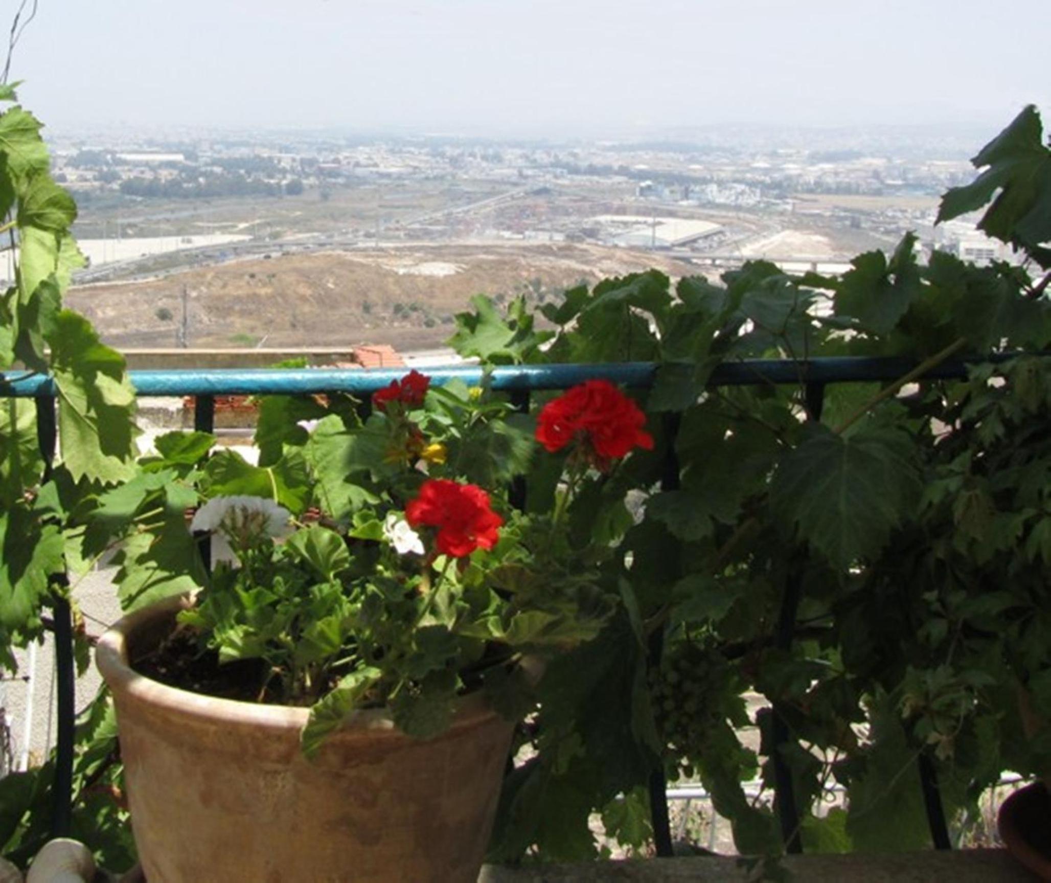 The Artist's House Overlooking the Bay of Haifa