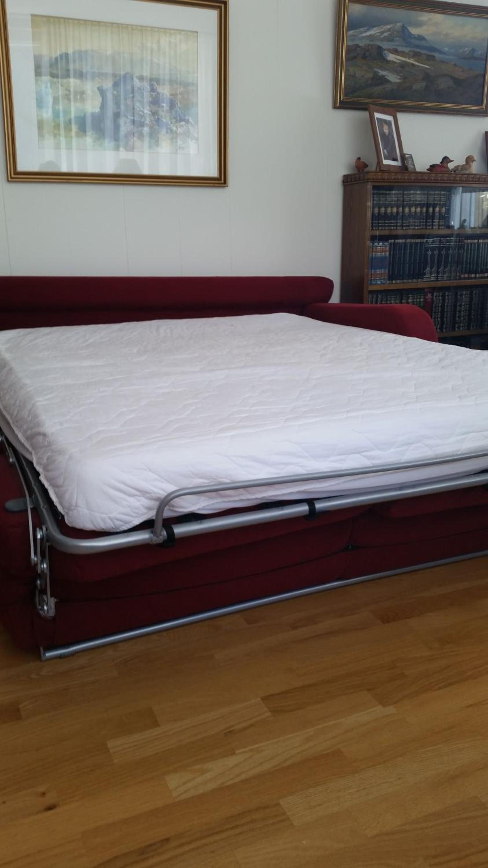 Photo 8