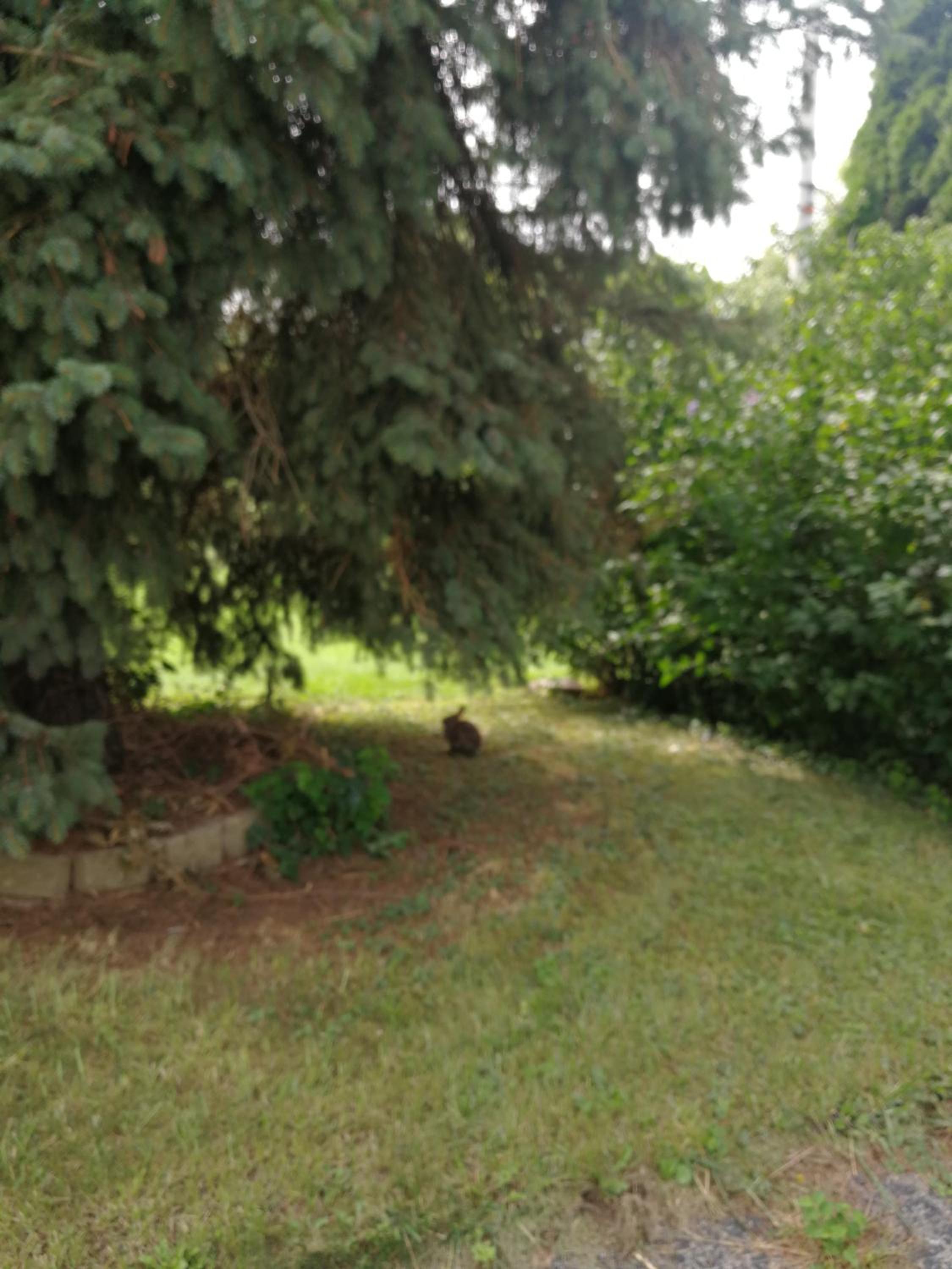 834 Happy Home -Peaceful Private RMs with Laundry