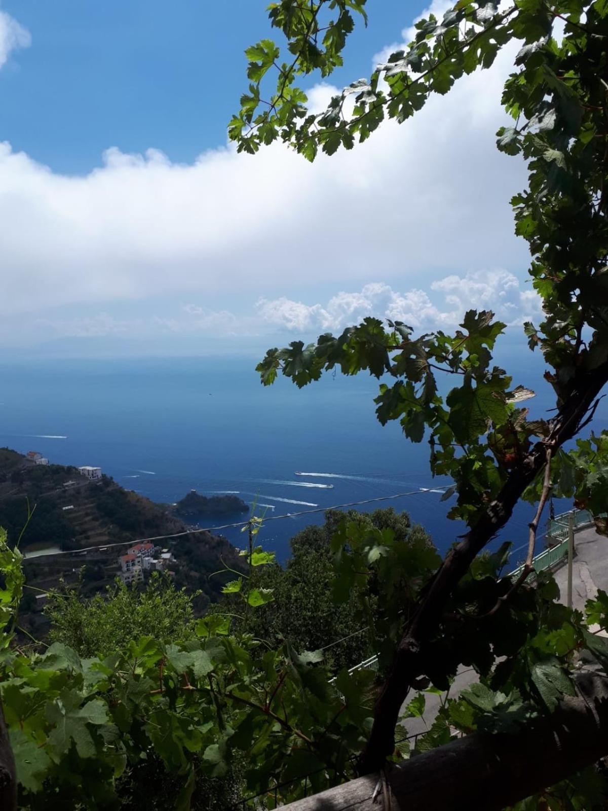 Il Nido Del Falco - Art house with terrace and sea view photo 5