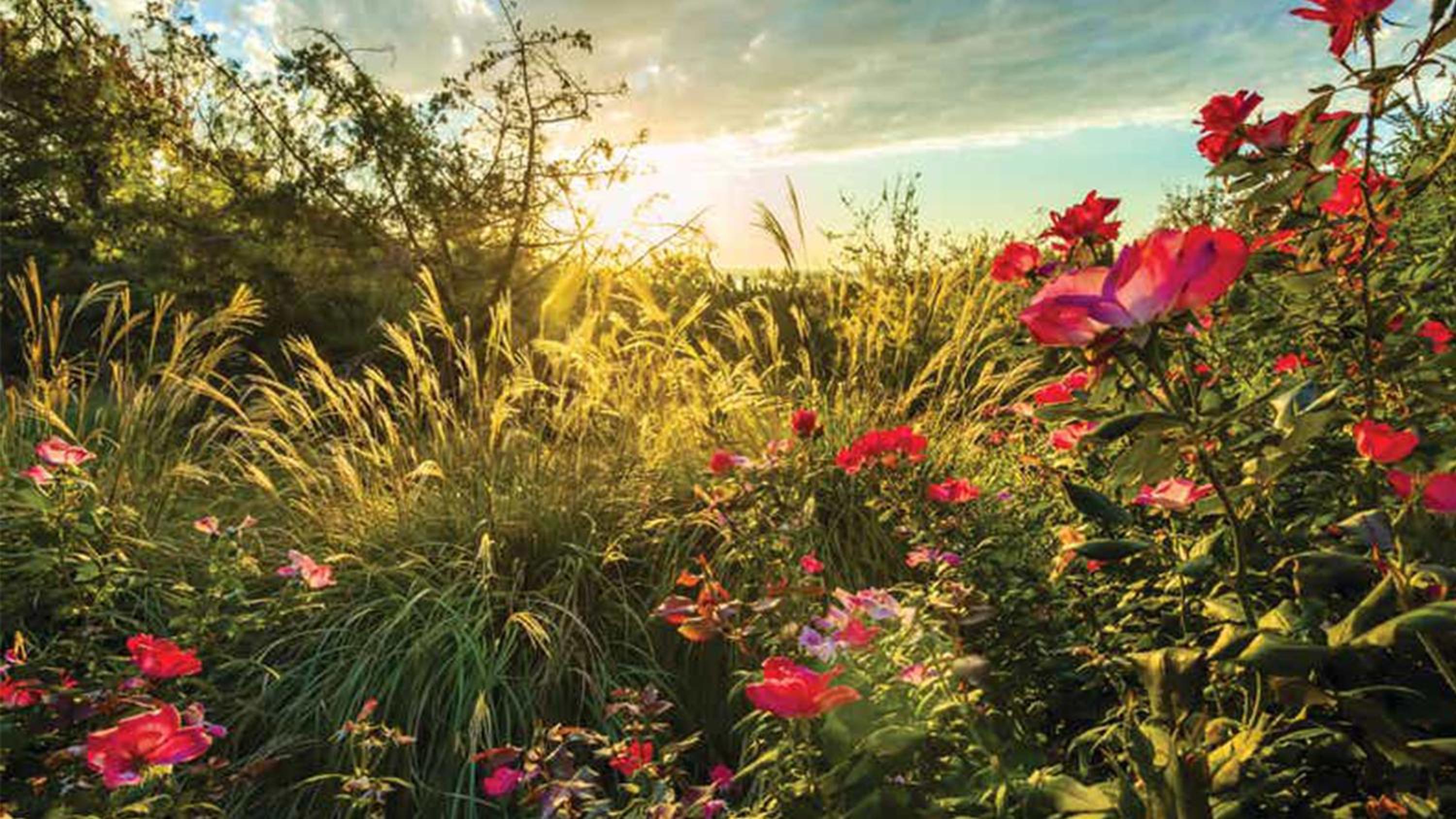 Flint Vacations - Holiday Inn Club Vacations Villages Resort at Lake Palestine - Property Image 33