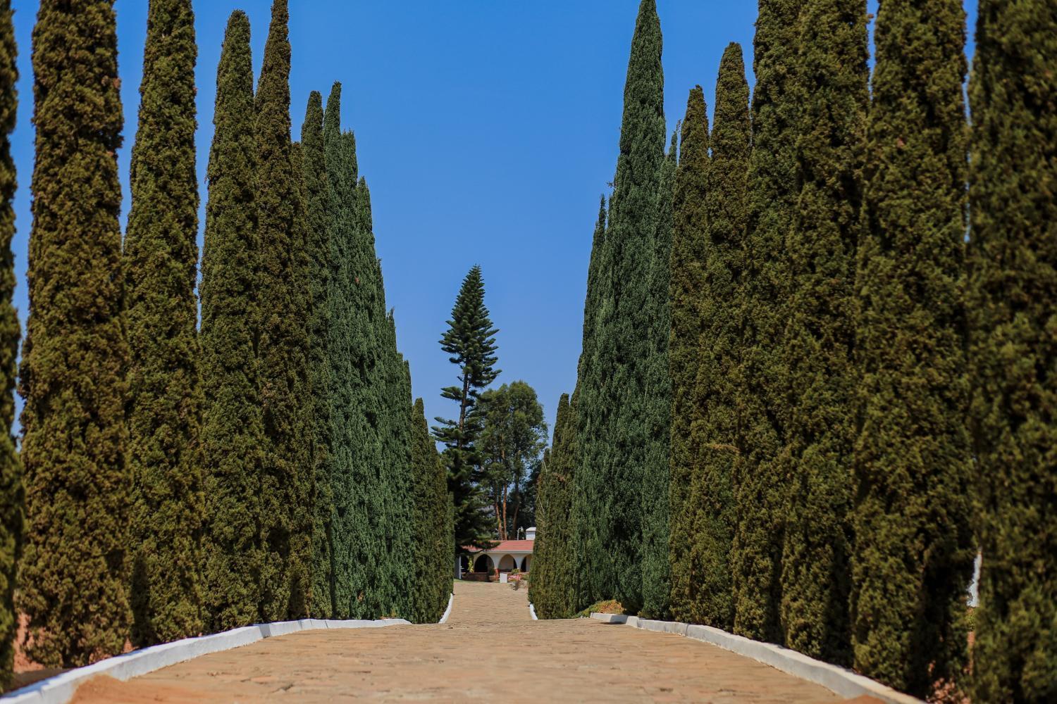 Rancho el Parral