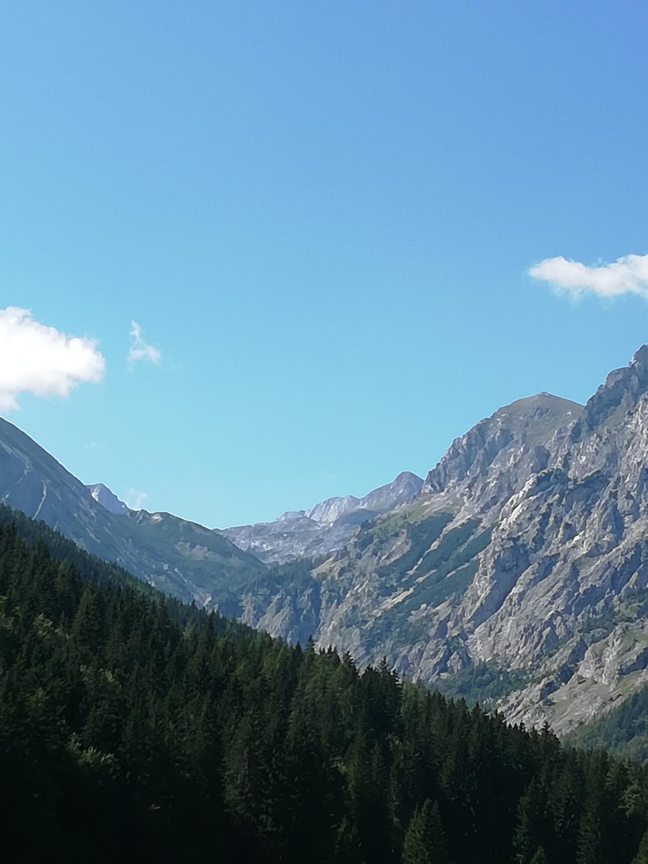 Frühstückspension Seeberghof