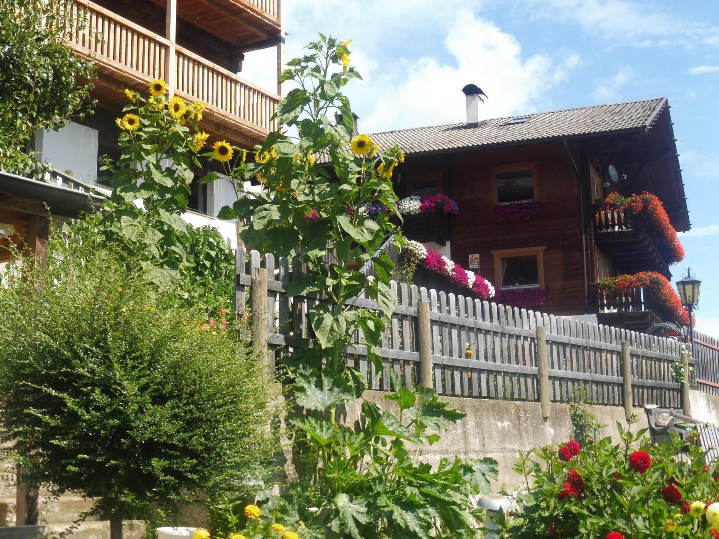 Photo 25