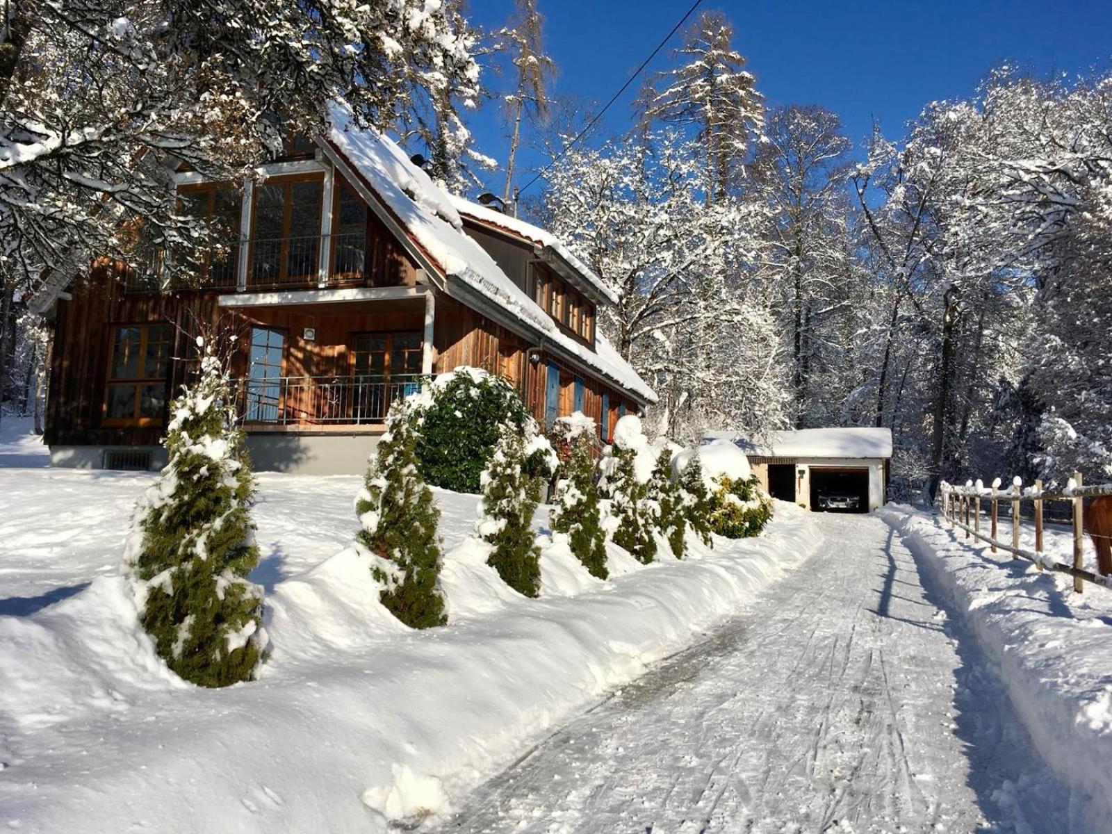 Ferienwohnung im alten Forsthaus