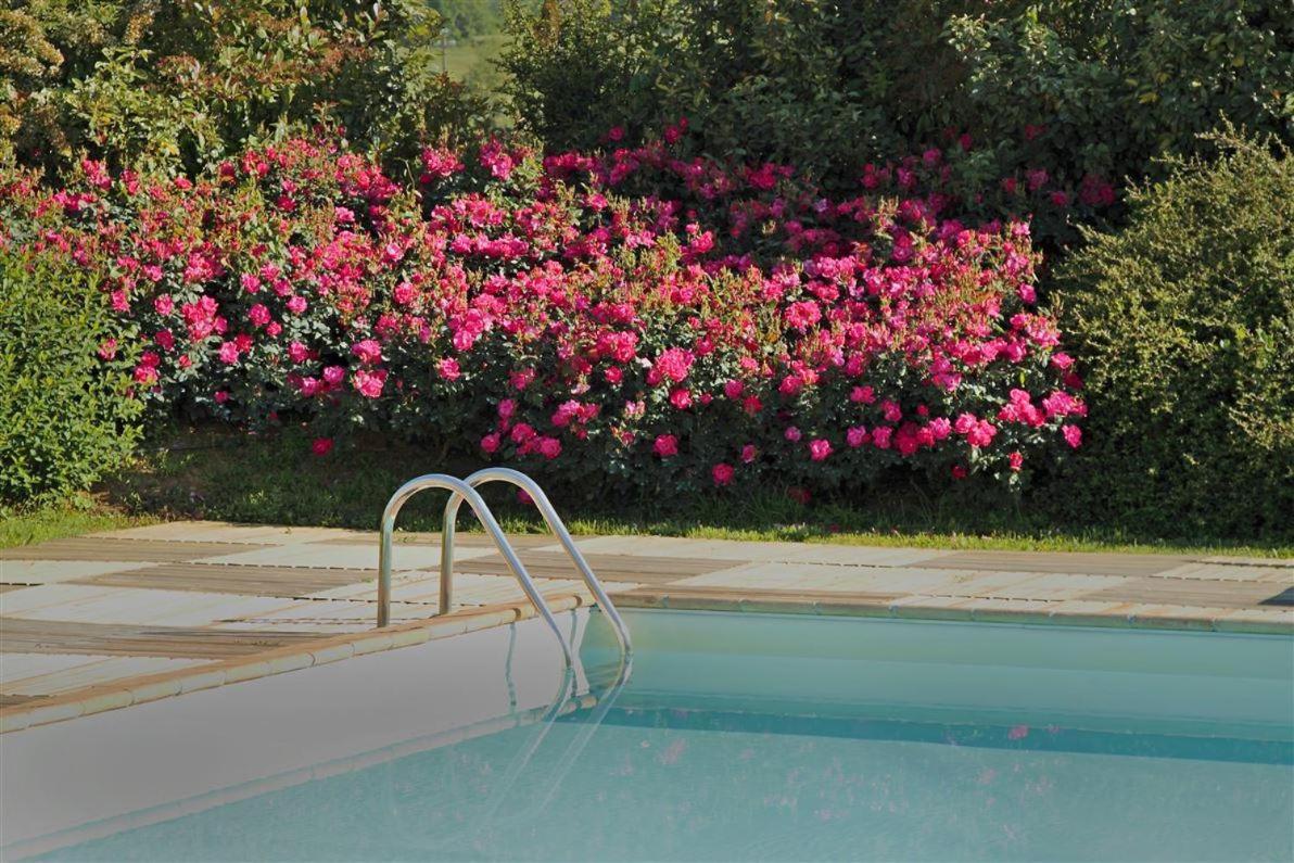 Sant'Angelo Farmhouse