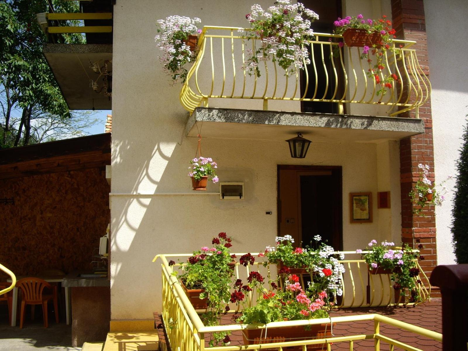 Guest House Rusalka