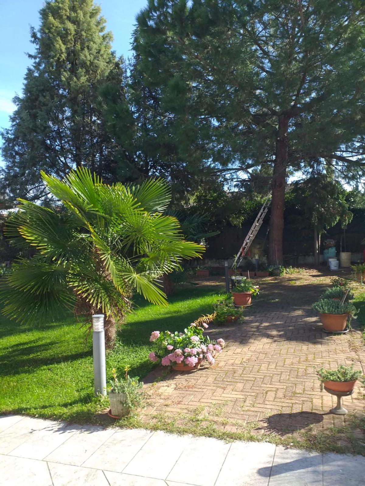 Photo 31