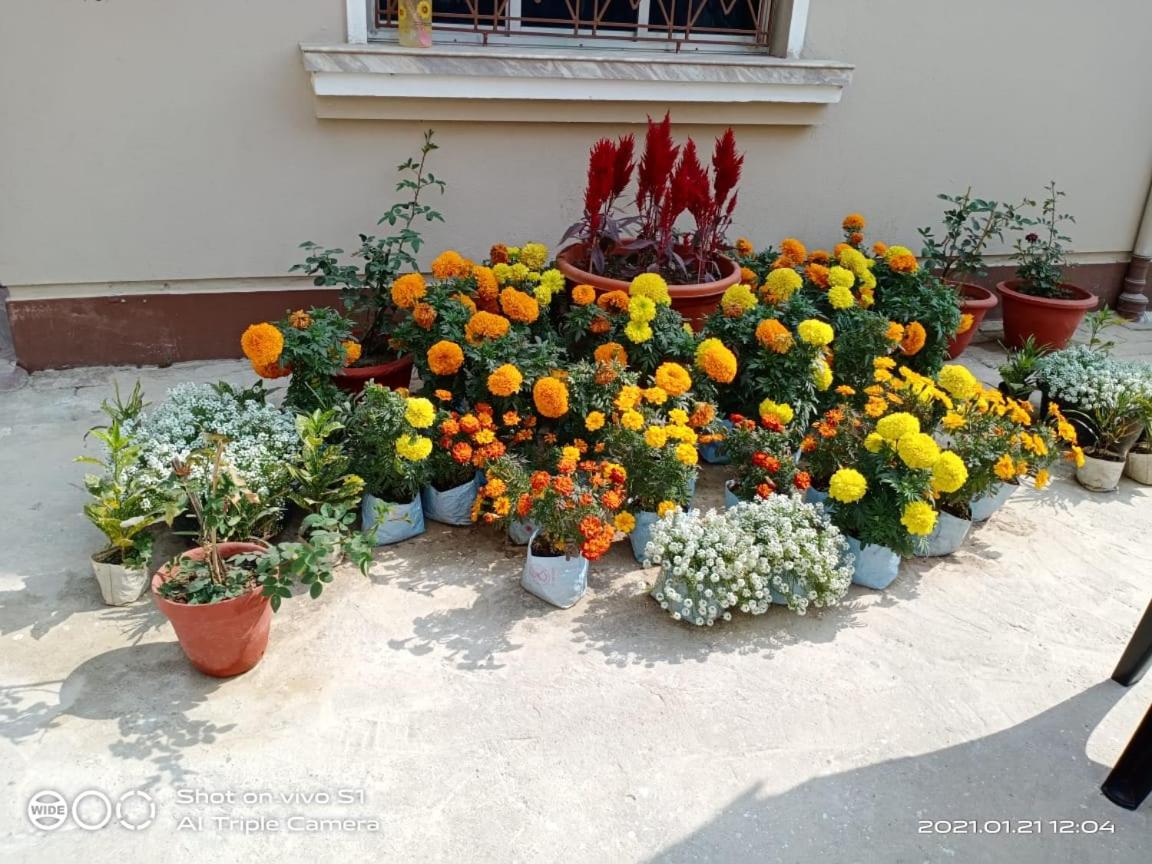 Photo 46