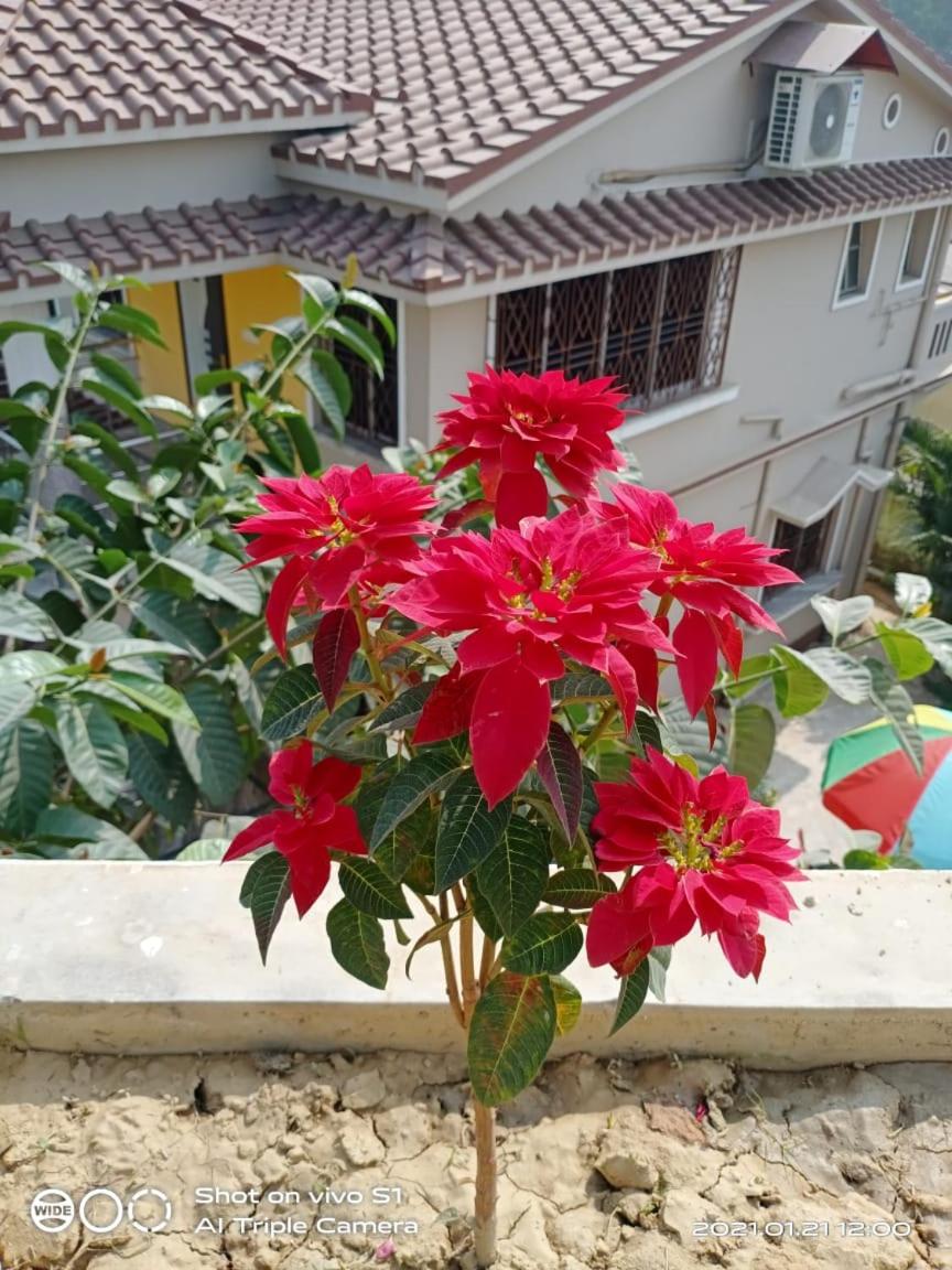 Photo 47