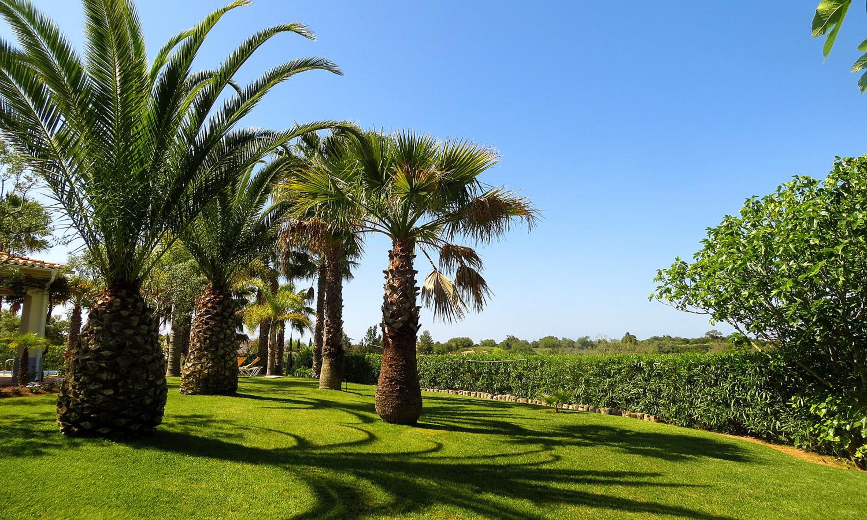 Spacious Villa in Carvoeiro with Private Pool