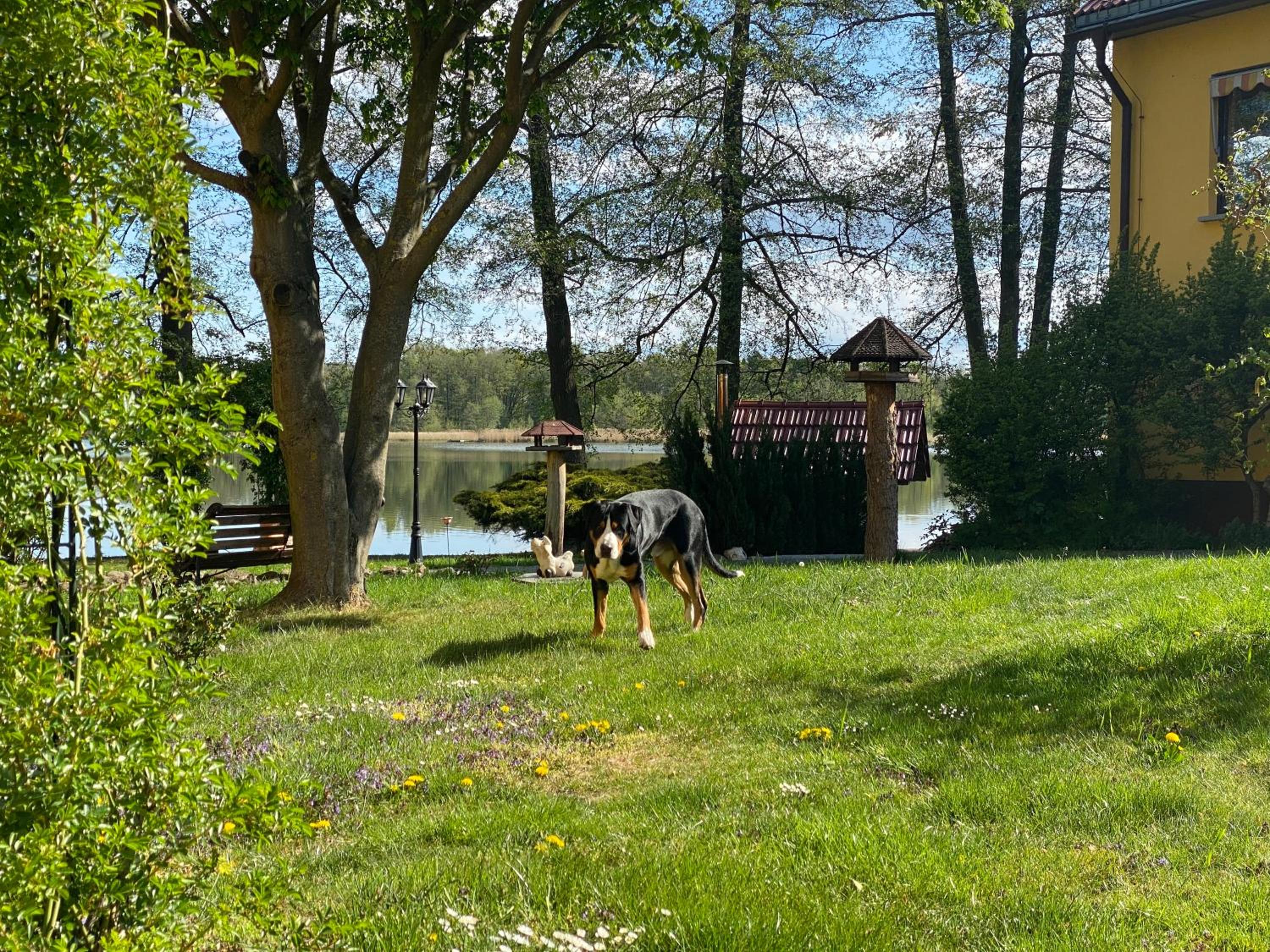 Seehof Netzen