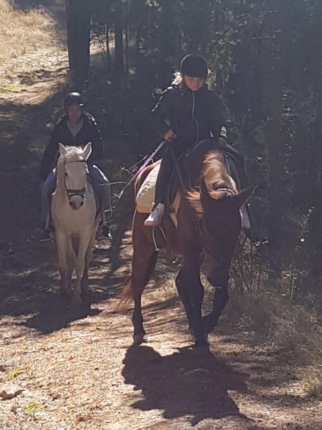 Dona Guest House - Horse Riding