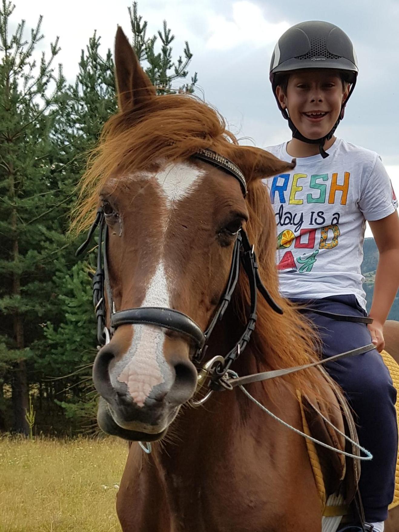 Dona Guest House - Horse Riding