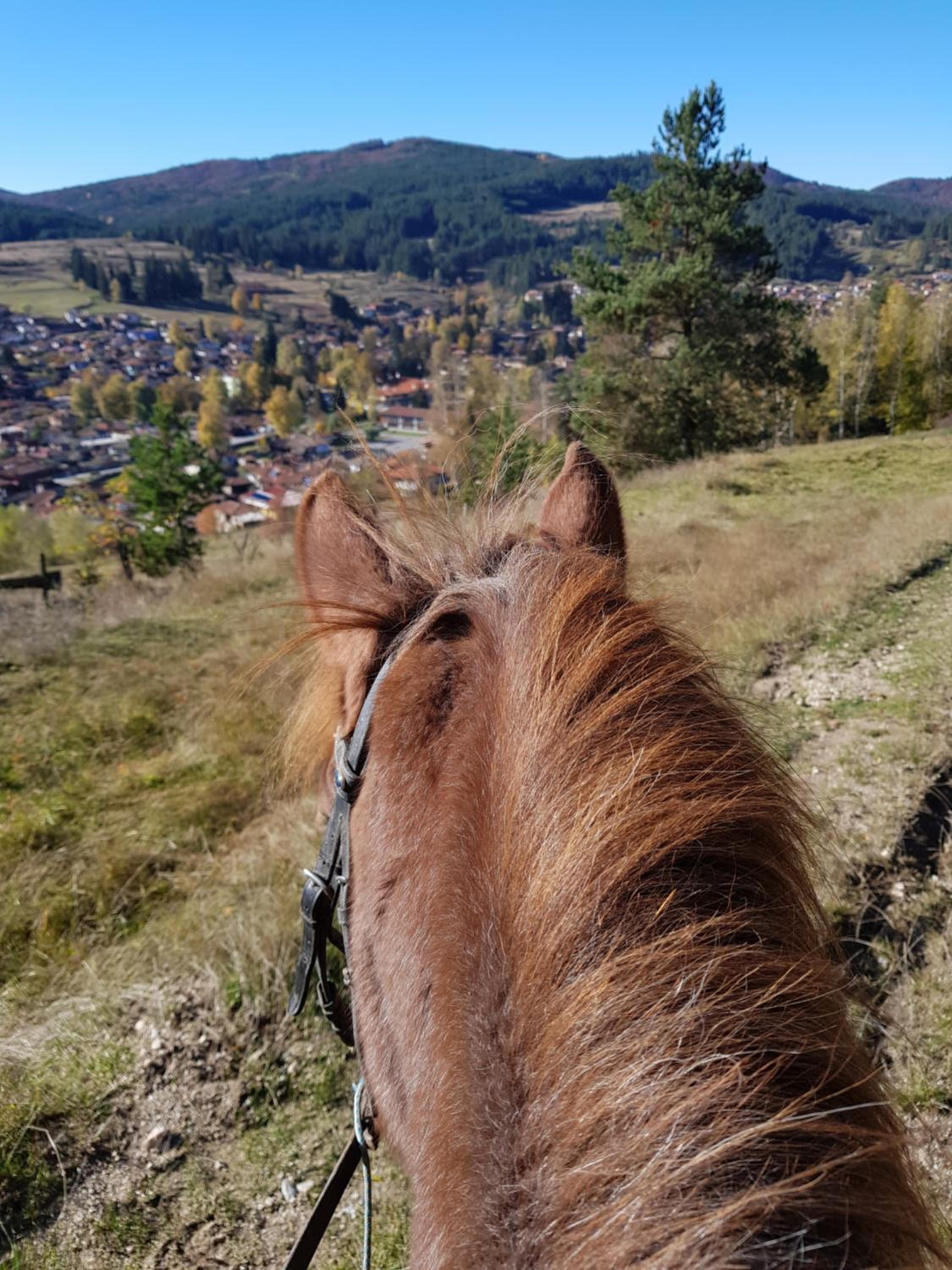 Dona Guest House - Horse Riding