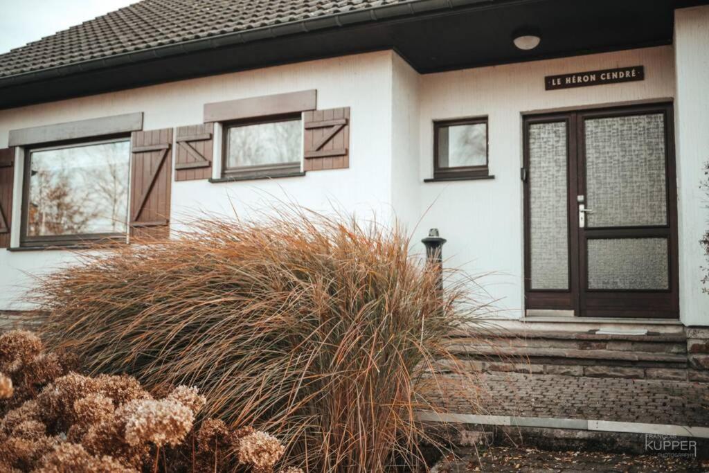 Le Héron 28pers, Malmedy- Home cinéma, balnéo, sauna, jardin view 3