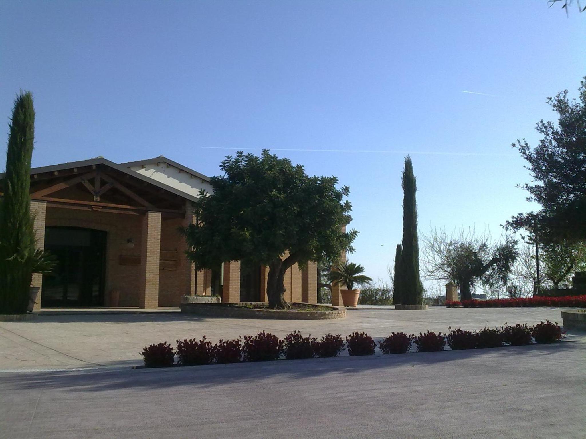 Photo 28