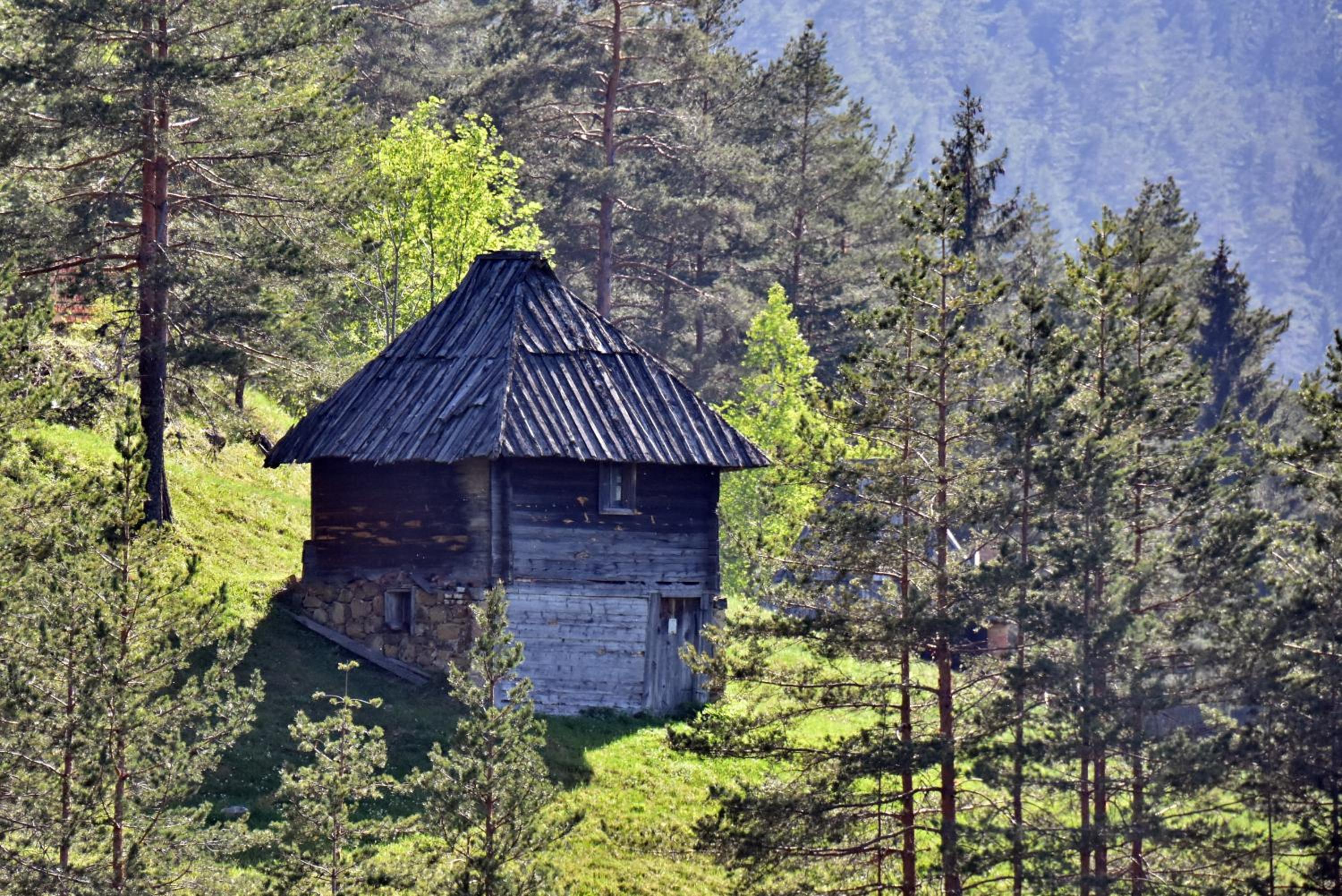 Photo 20