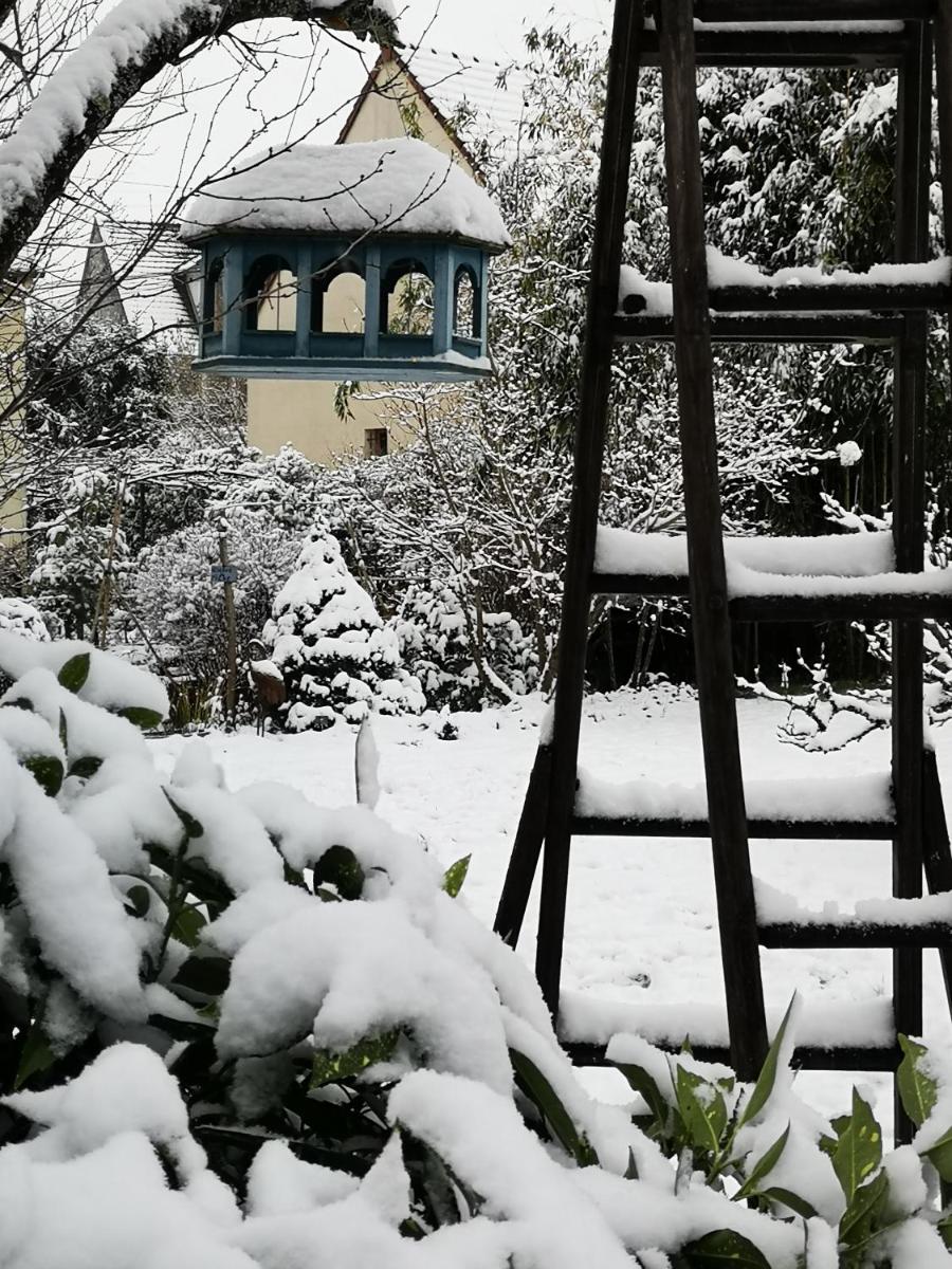 Photo 48