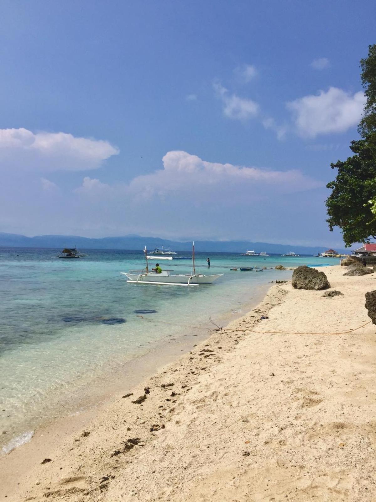Pescador View Beachfront and Extension by the Ocean Hostels & Restaurant Moalboal view 4