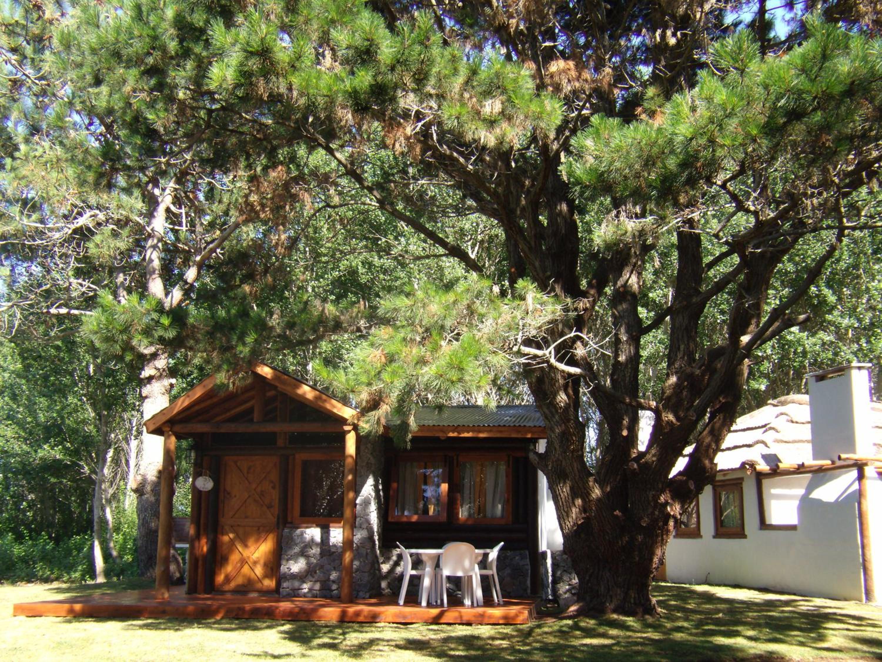 Bosques del Este