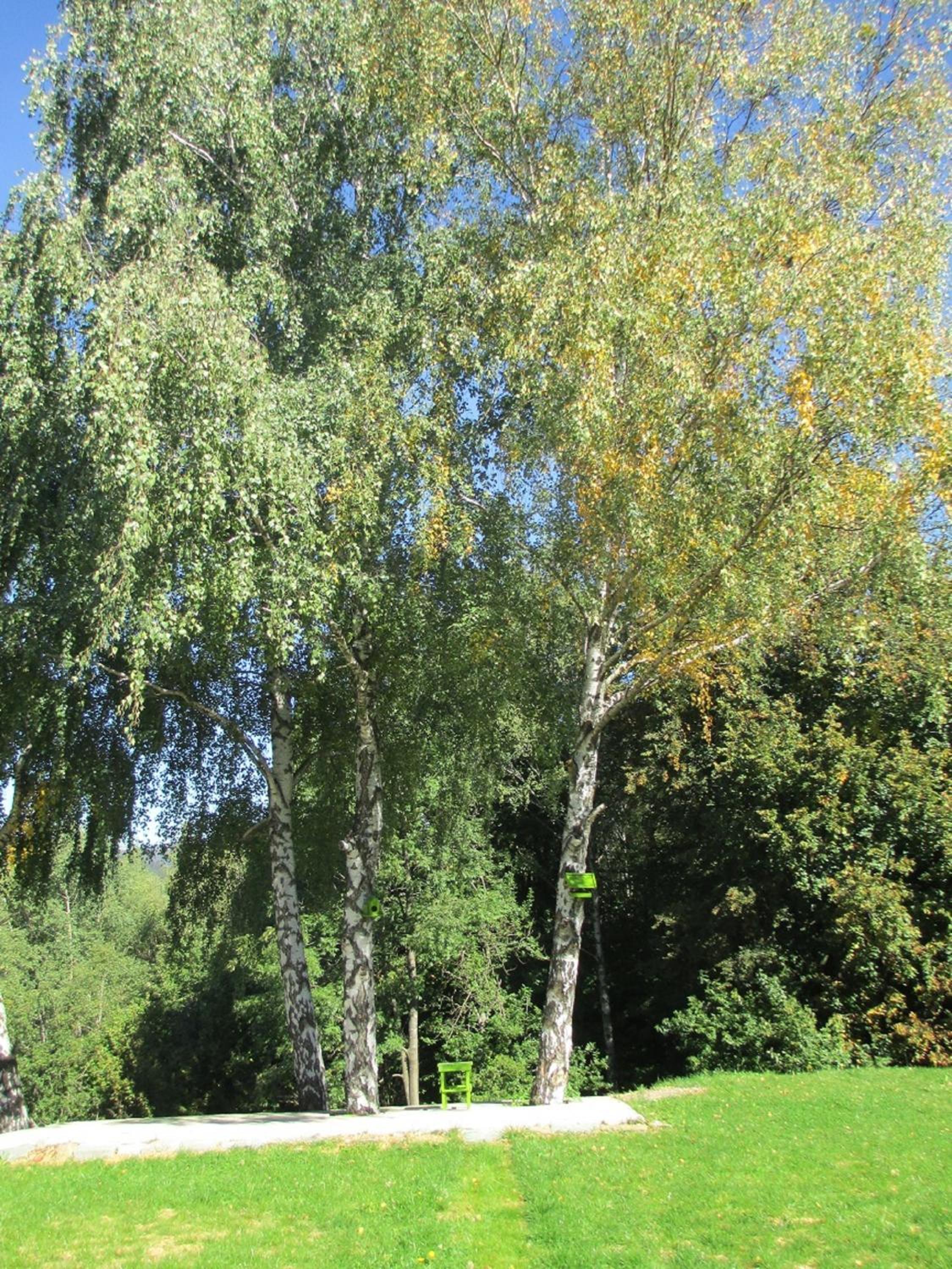 Photo 13